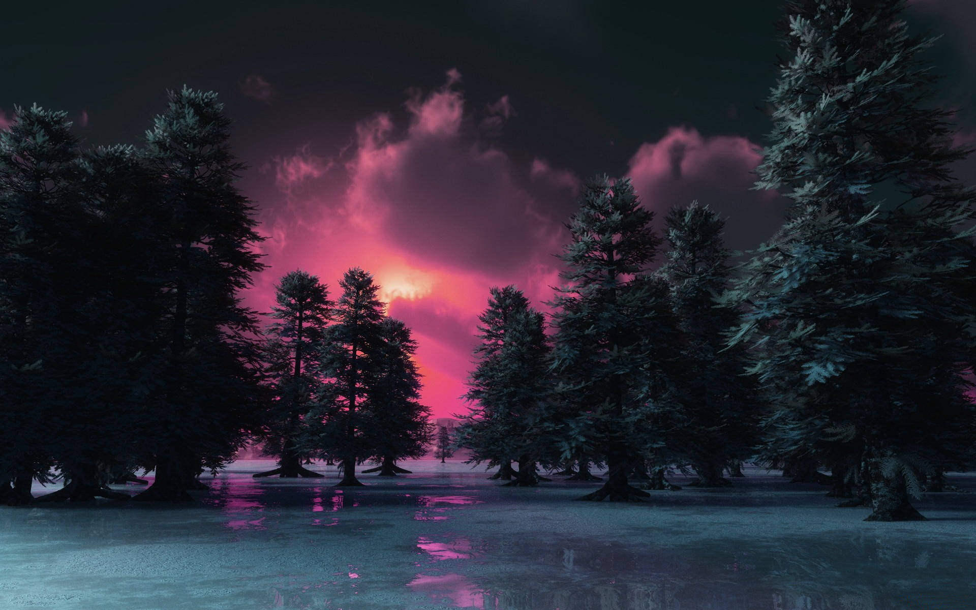 Fondo de Pantalla de Bosque Oscuro al Atardecer para Escritorio — Bosque oscuro Fondos de pantalla