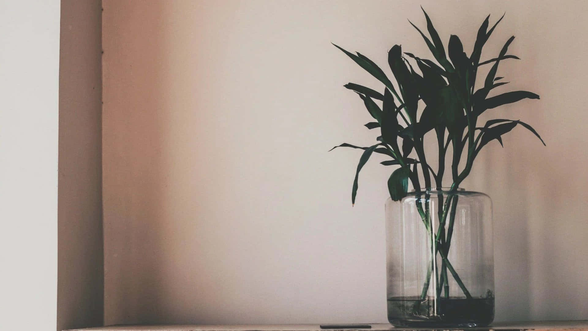 Redefiniendo el minimalismo: estético y práctico — Estético minimalista GIF Fondos de pantalla
