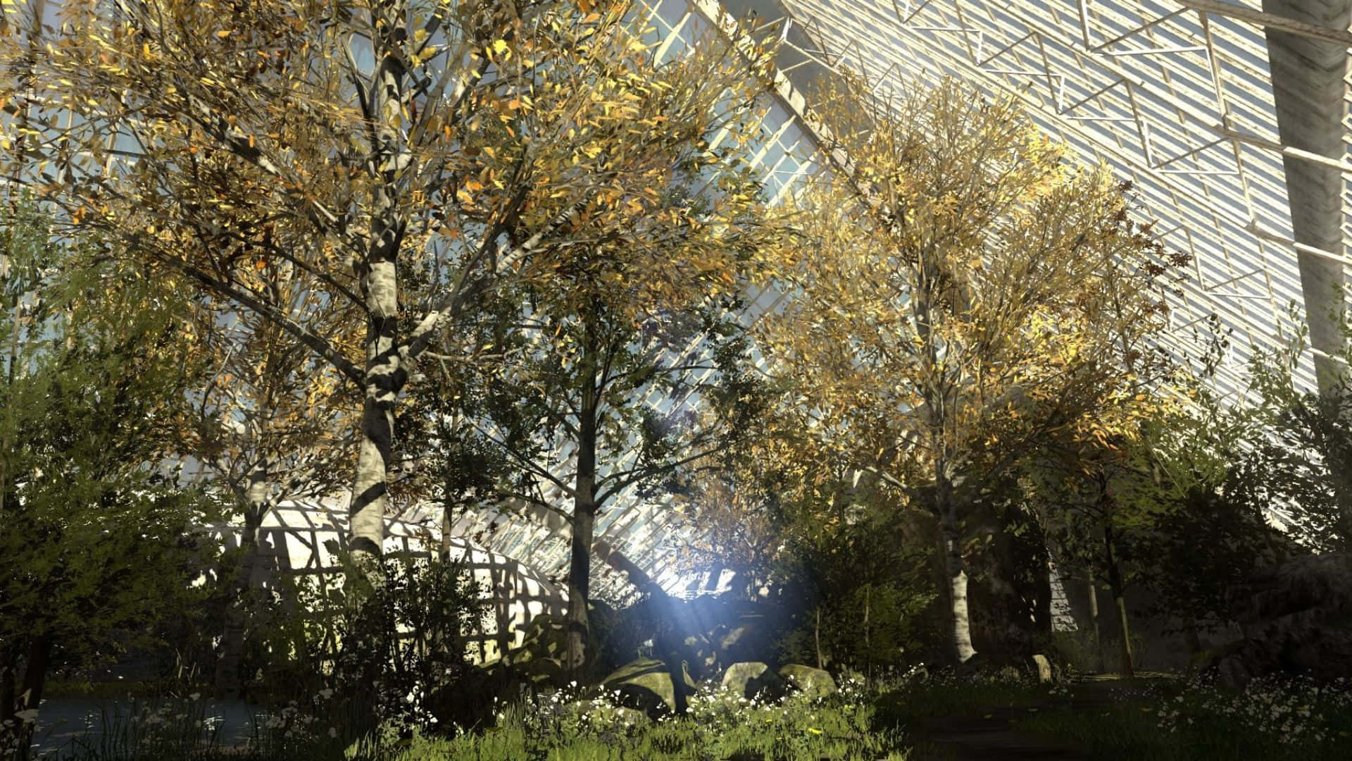 1920x1080 Fondo Frondoso de Bosque de The Talos Principle Fondos de pantalla