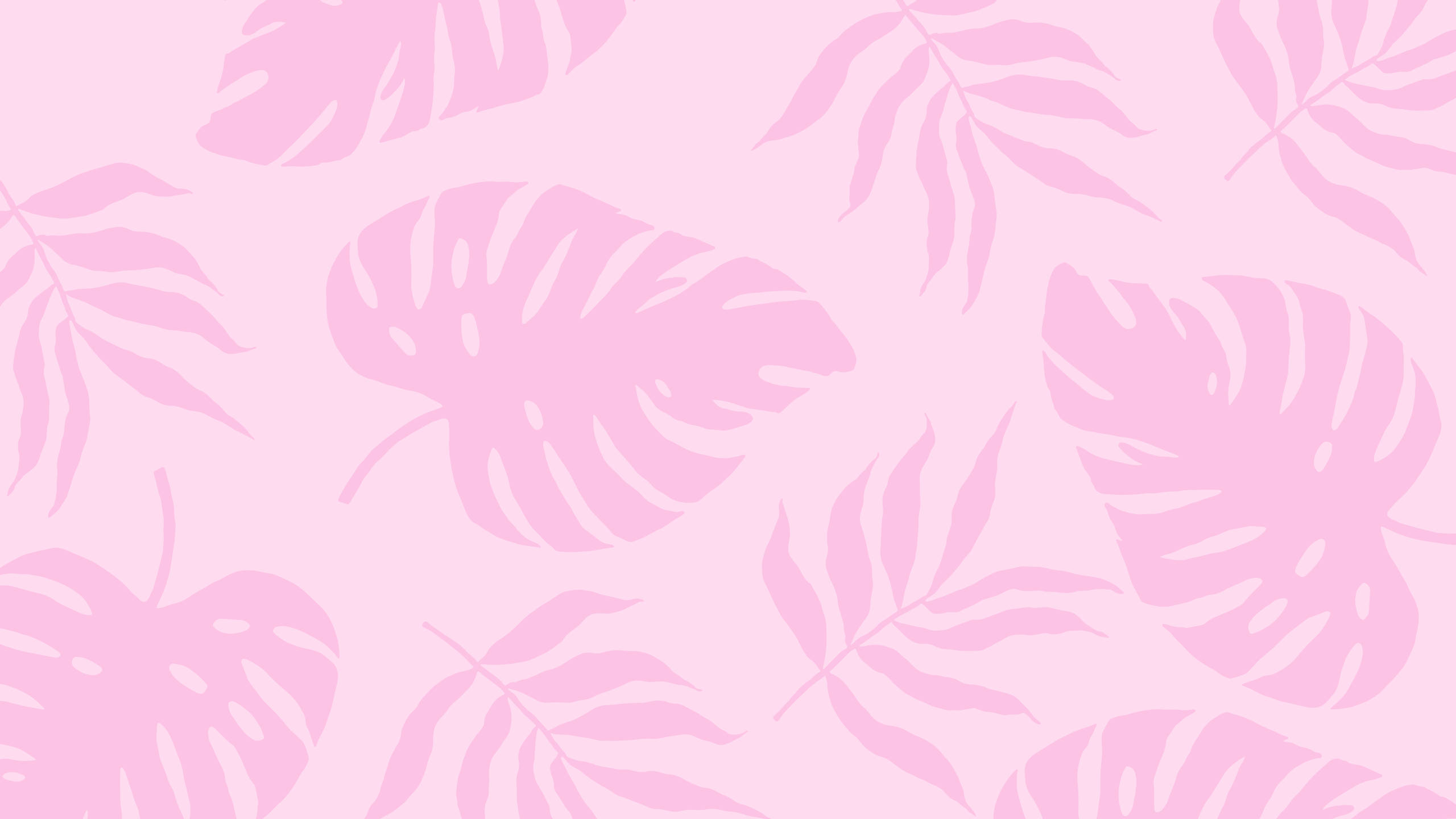 2560x1440 Plantas de Verano Rosa Estético Fondos de pantalla