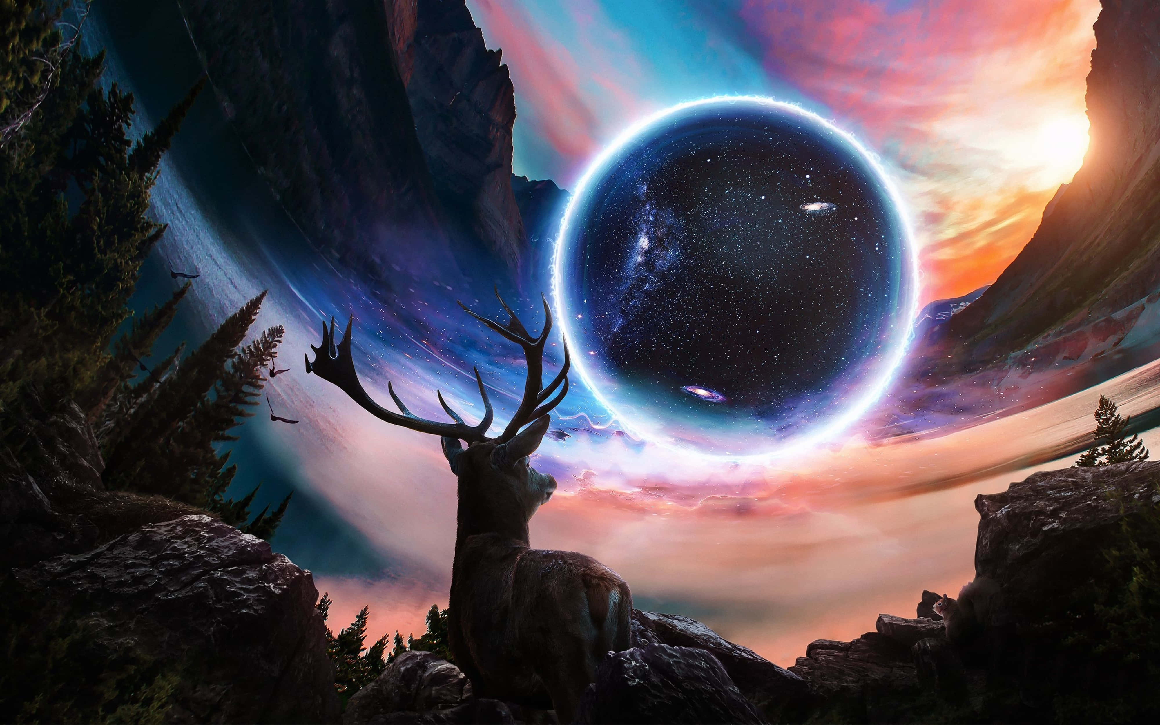 4K Universo Mirando Ciervo Fondos de pantalla