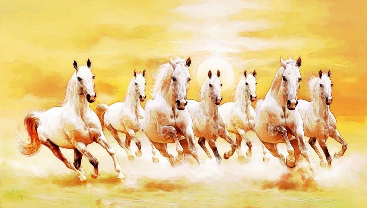 7 Caballos Blancos Sol Dorado Fondos de pantalla