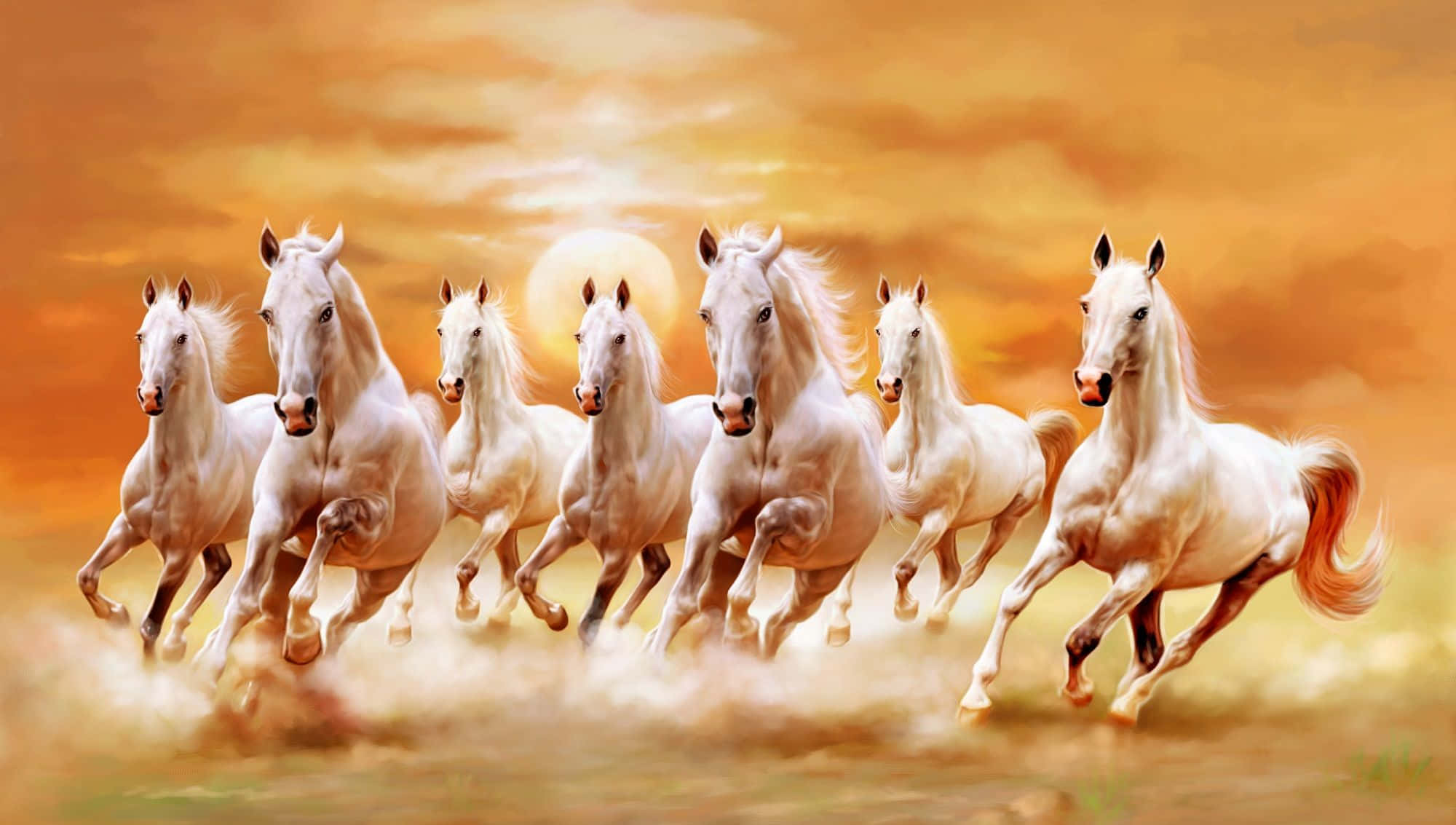7 Caballos Blancos Corriendo Contra el Atardecer Fondos de pantalla