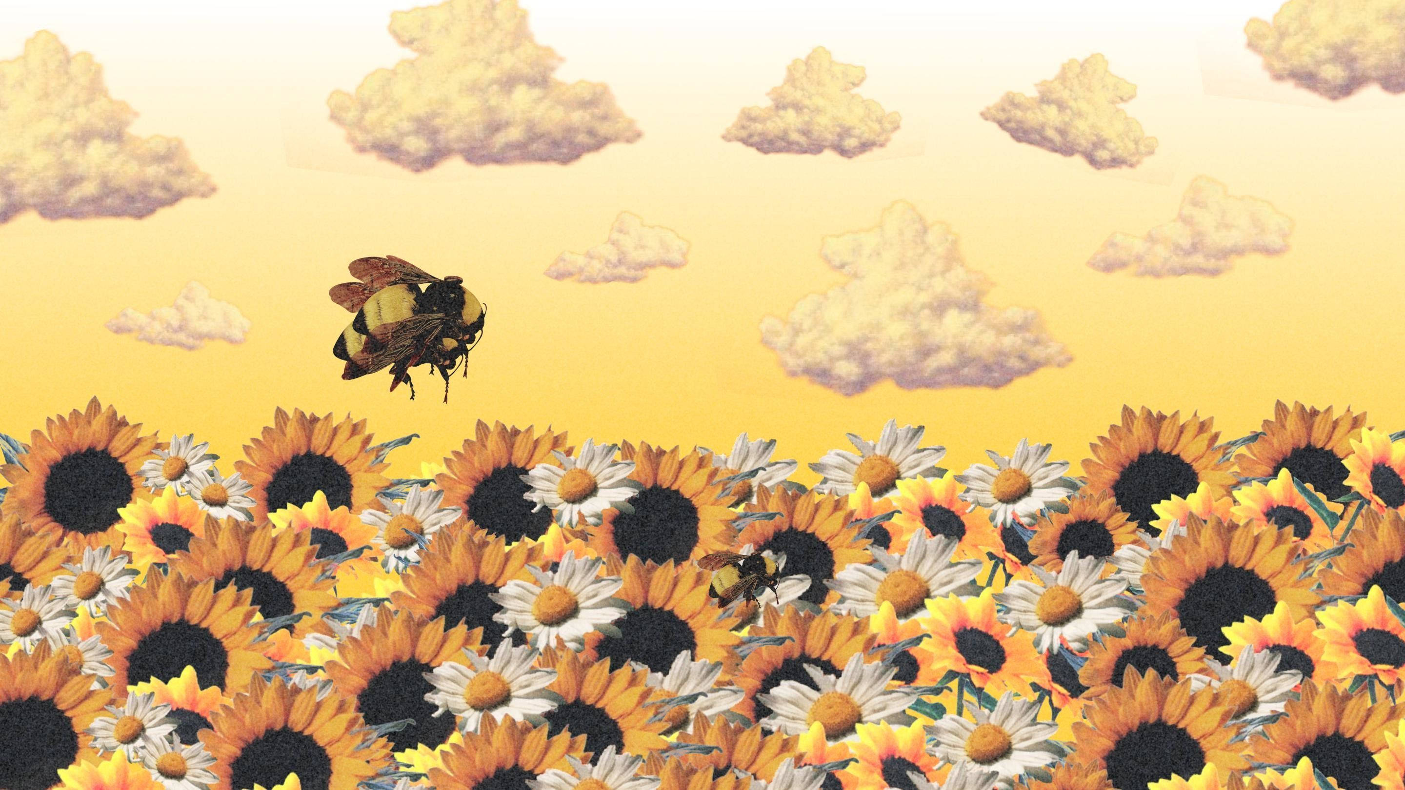 Abeja caricatura sobre un campo de girasoles Fondos de pantalla