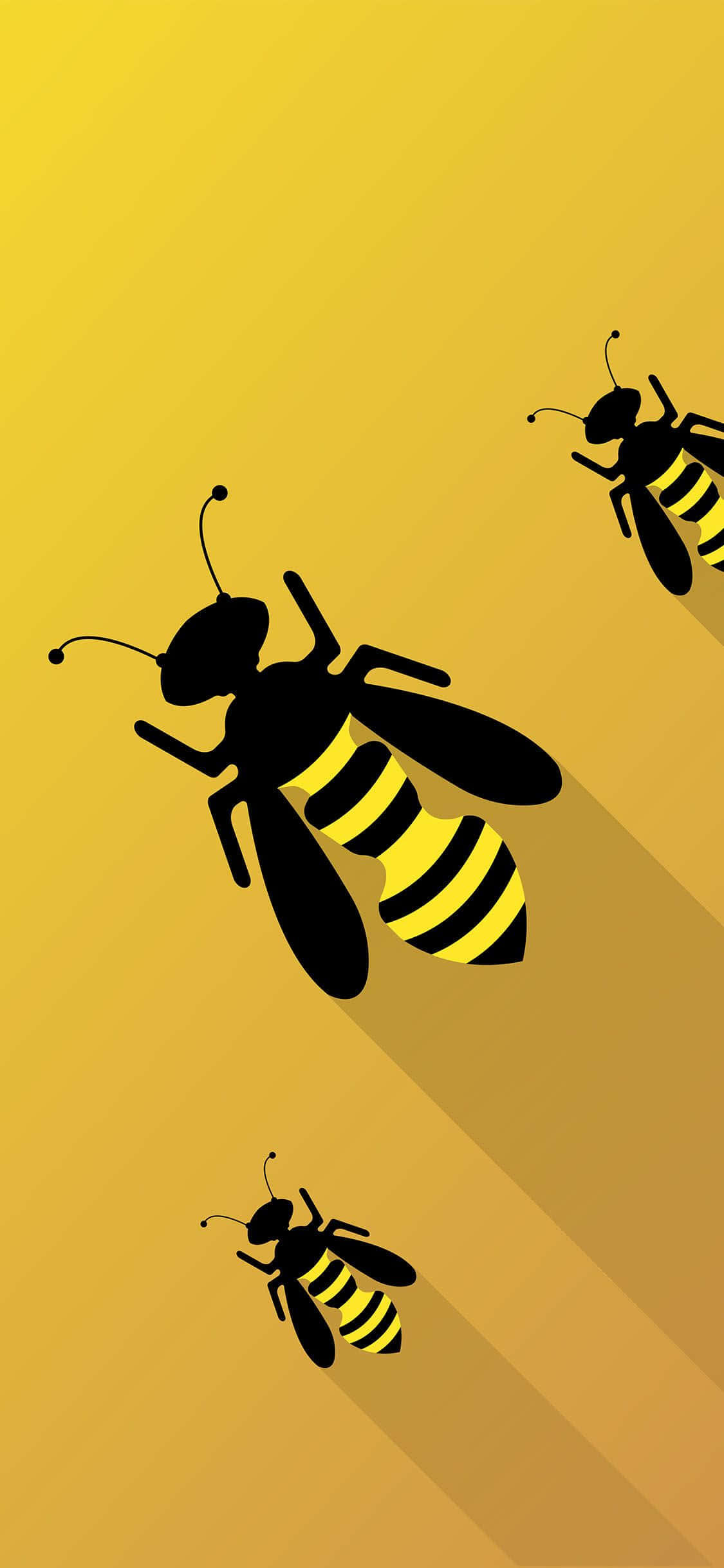 Abeja iPhone Arte gráfico de abejas Fondos de pantalla