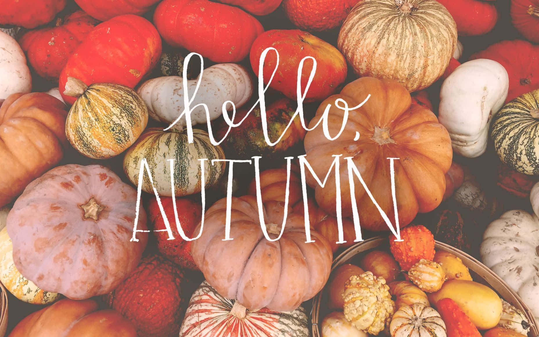Abraza la belleza del otoño y respira el aroma rústico de la temporada Fondos de pantalla