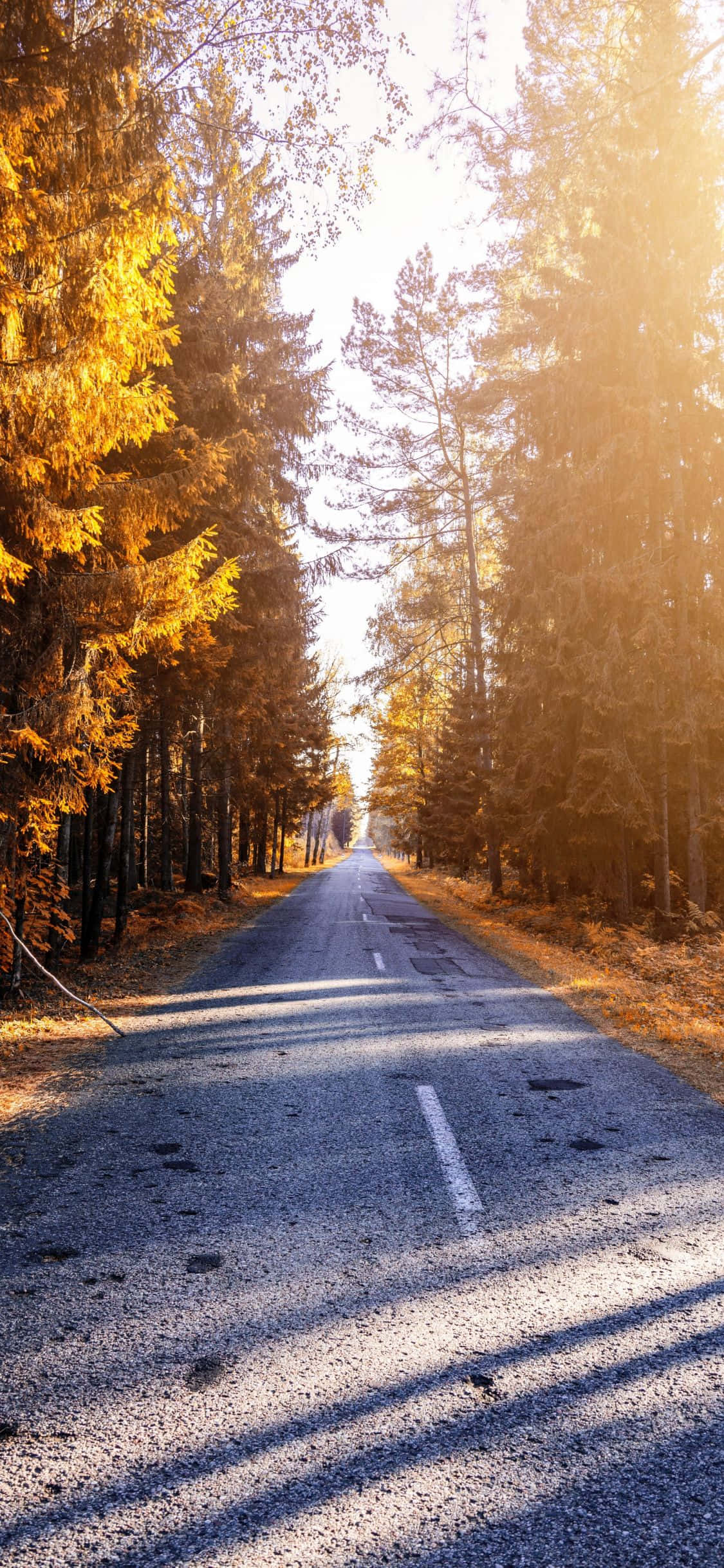 Abraza la Serenidad - Fondo de Naturaleza para iPhone X Fondos de pantalla