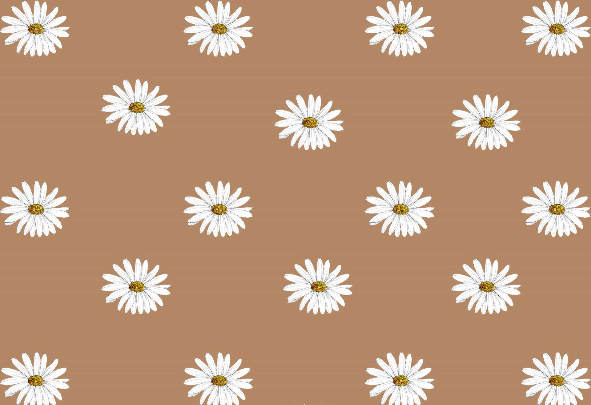 Abraza la Serenidad de la Estética Floral Beige y Café Fondos de pantalla