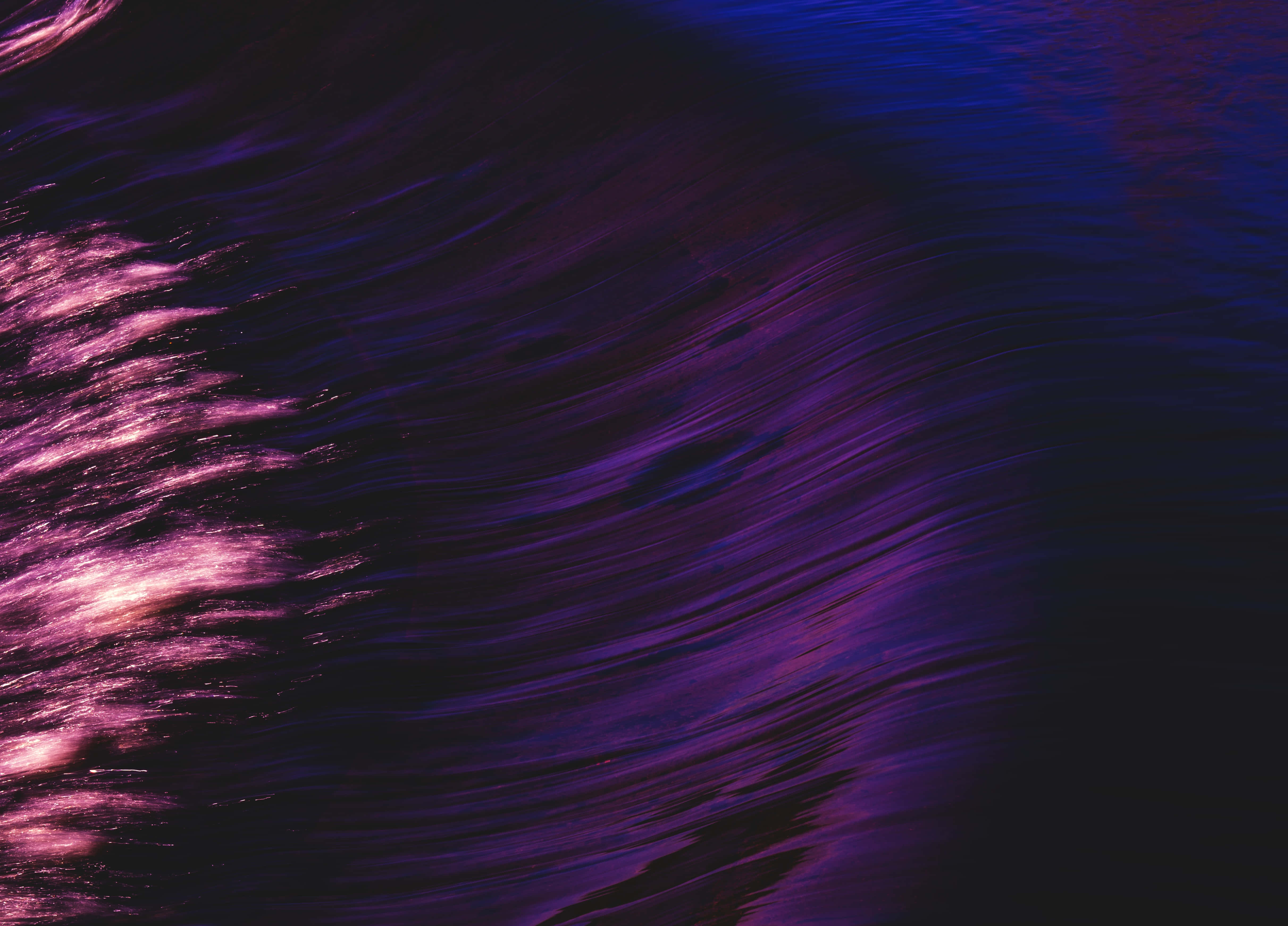 Abraza los hermosos tonos del púrpura oscuro Fondos de pantalla