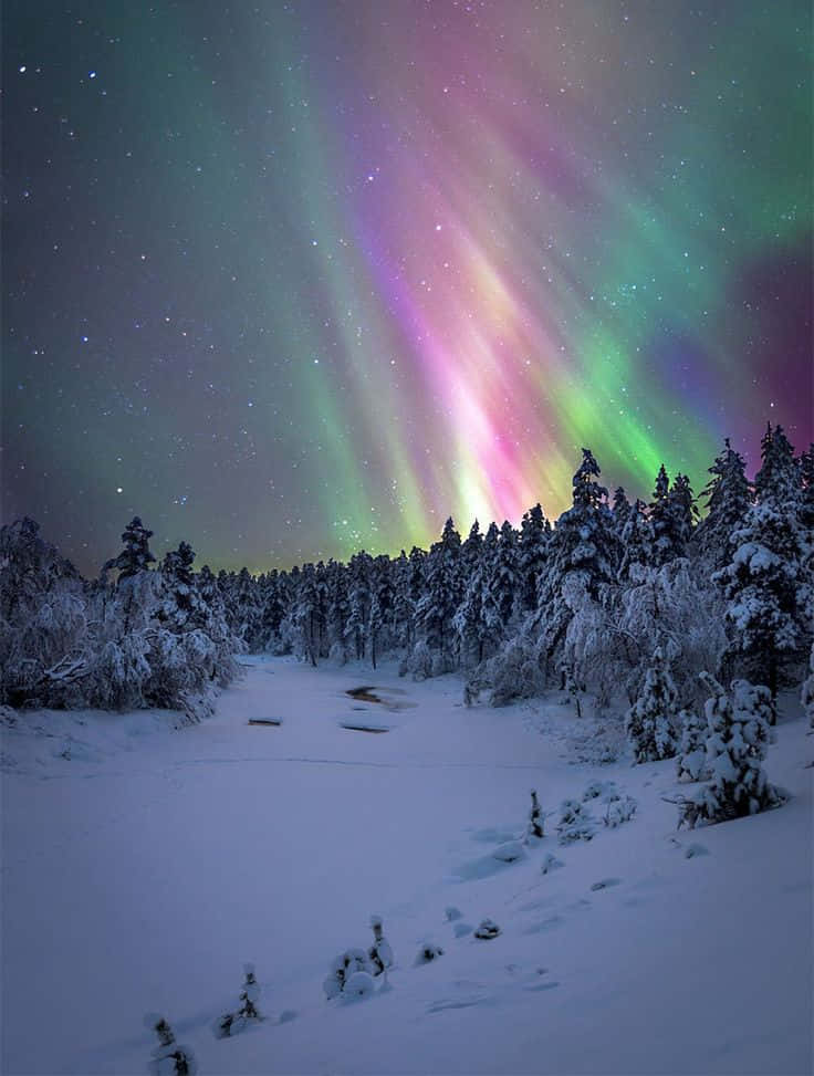 Abrazando la Belleza de un Paraíso Invernal Fondos de pantalla
