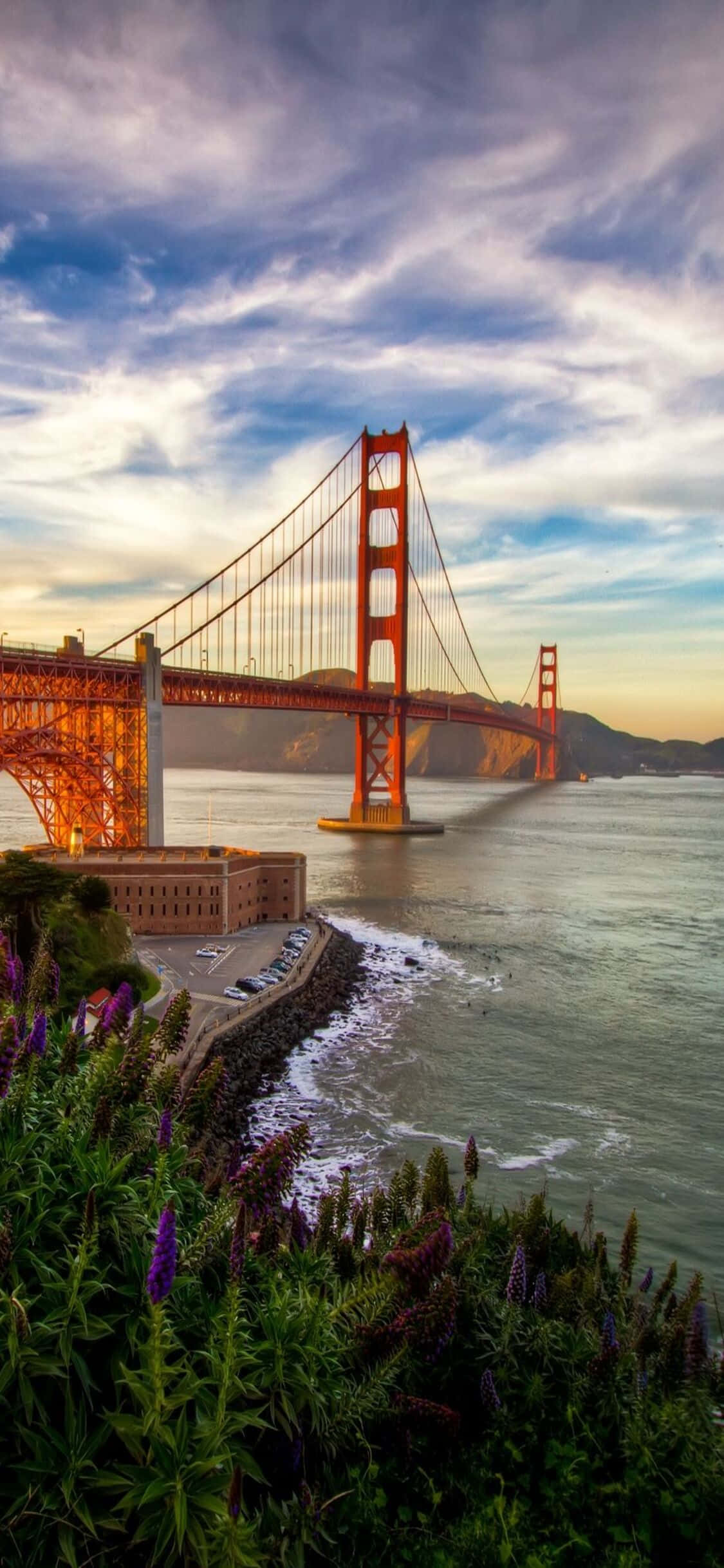 Absorbe el sol de California con el iPhone X Fondos de pantalla