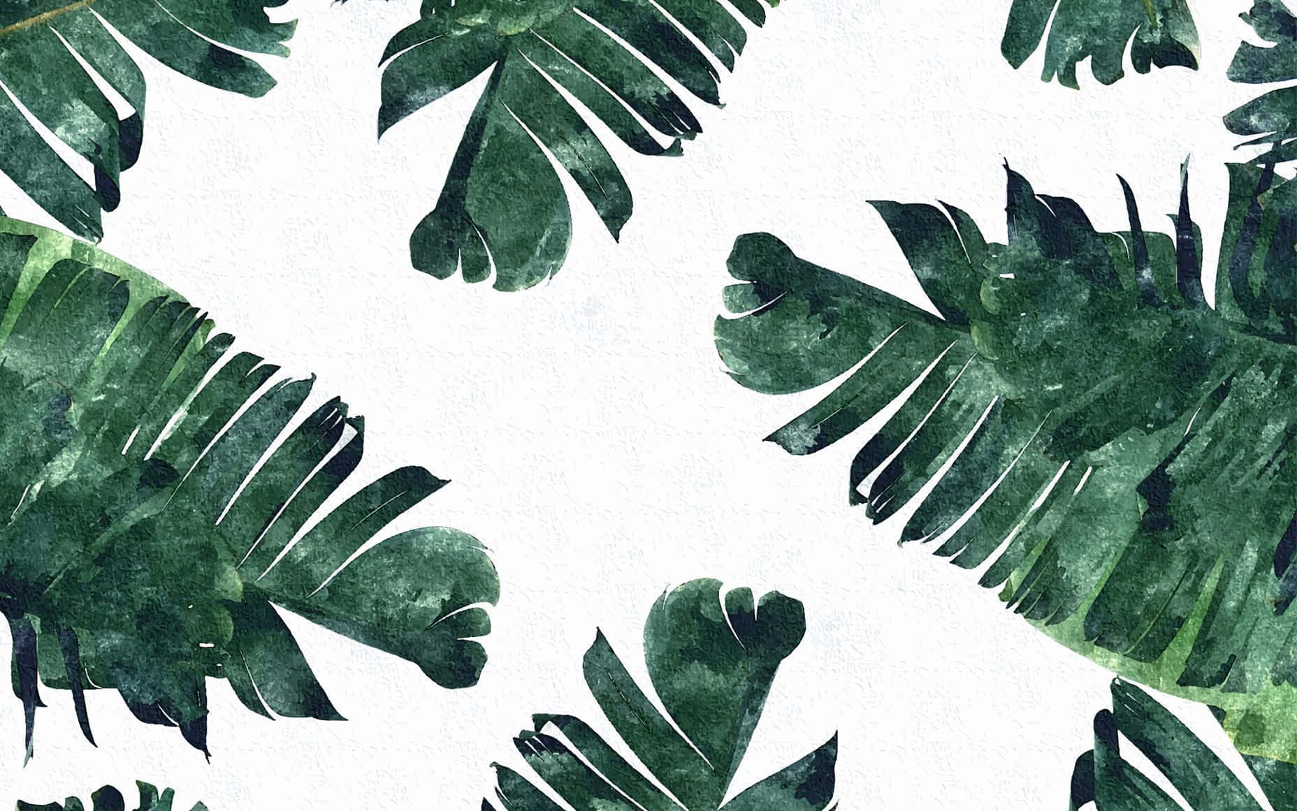 Acepta la Simplicidad de la Naturaleza Fondos de pantalla