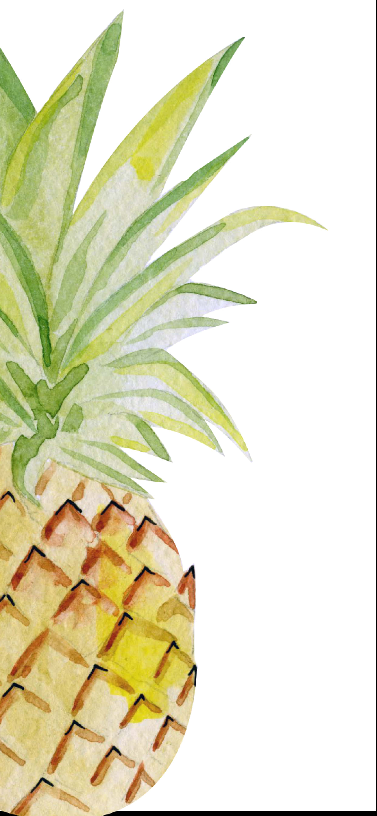 acuarela piña clip art Fondos de pantalla