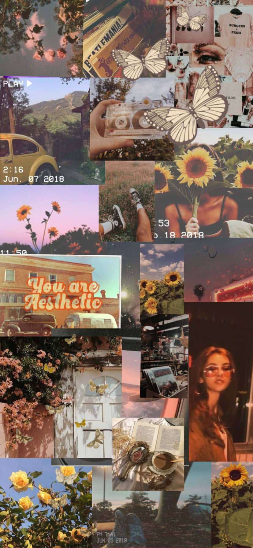 Admira la belleza de la obra de arte collage vintage Fondos de pantalla