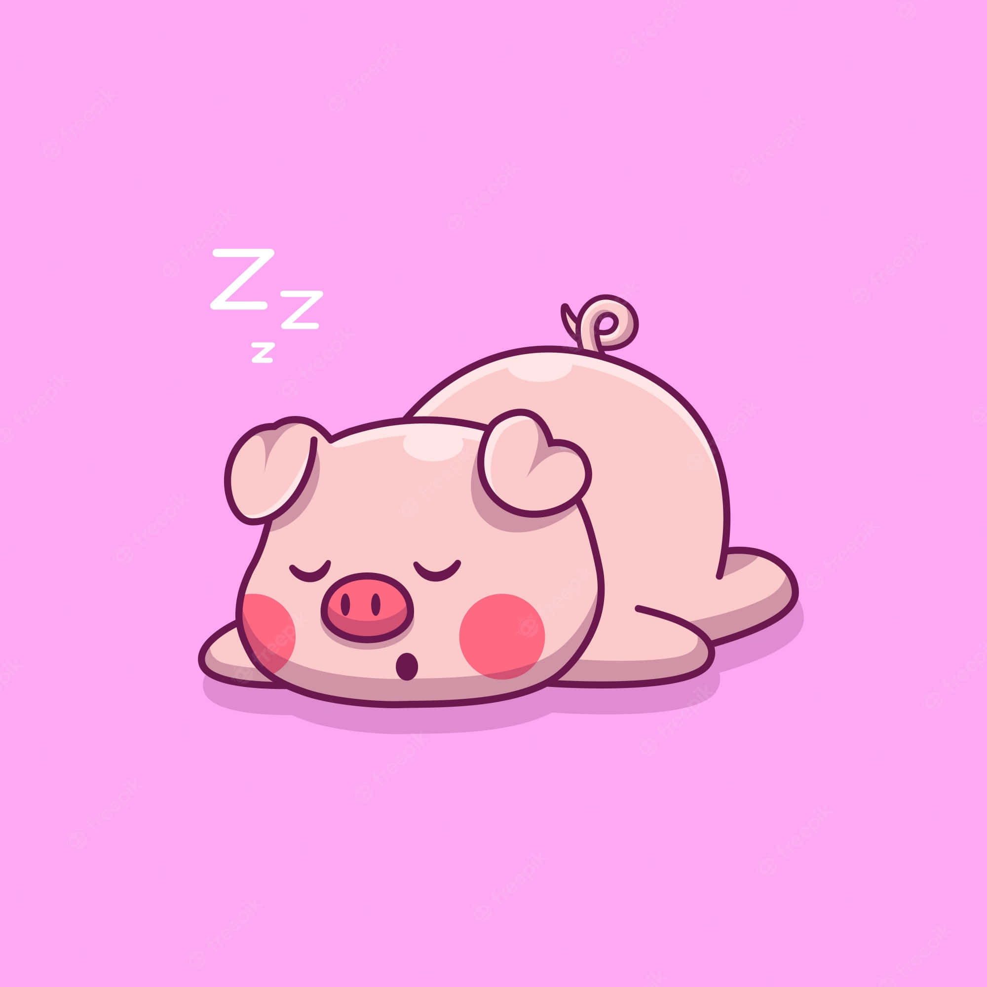 Adorable cerdito disfrutando del sol Fondos de pantalla
