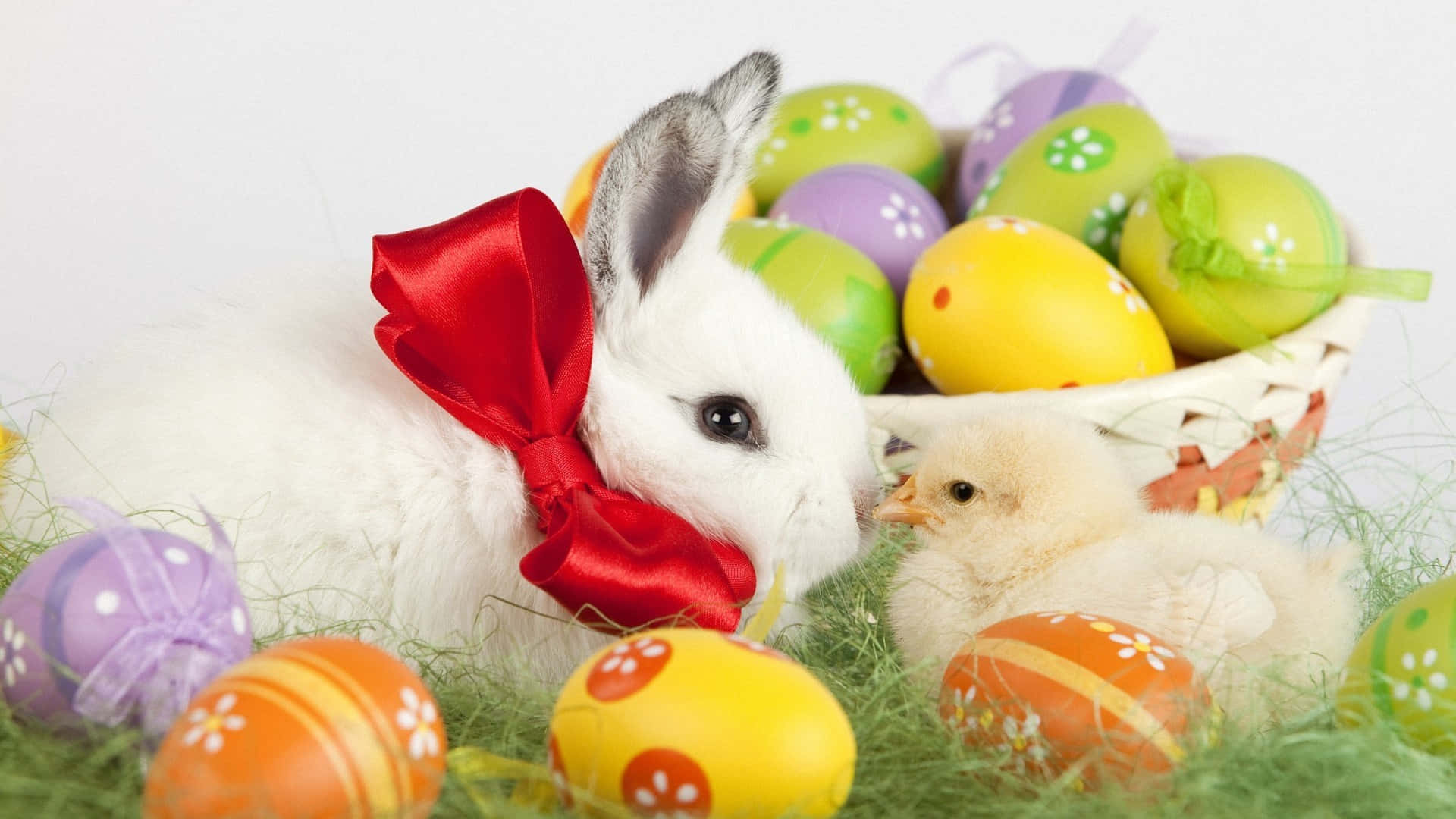 Adorable Conejito de Pascua con Huevos Coloridos sobre Fondo Verde Frondoso Fondos de pantalla