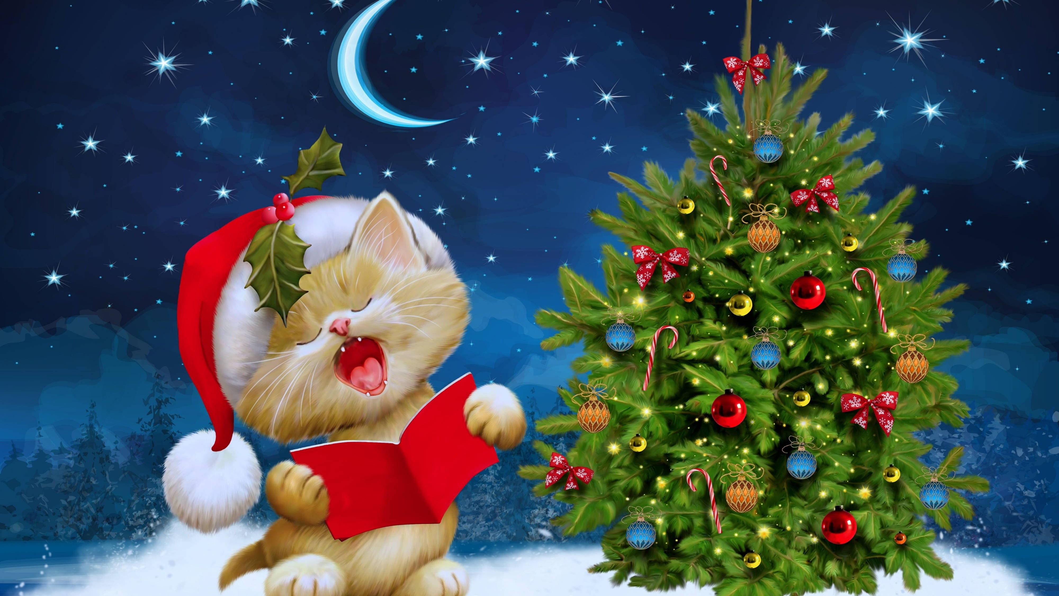 Adorable gatito con gorro navideño celebrando la Navidad en 4K Ultra HD Fondos de pantalla