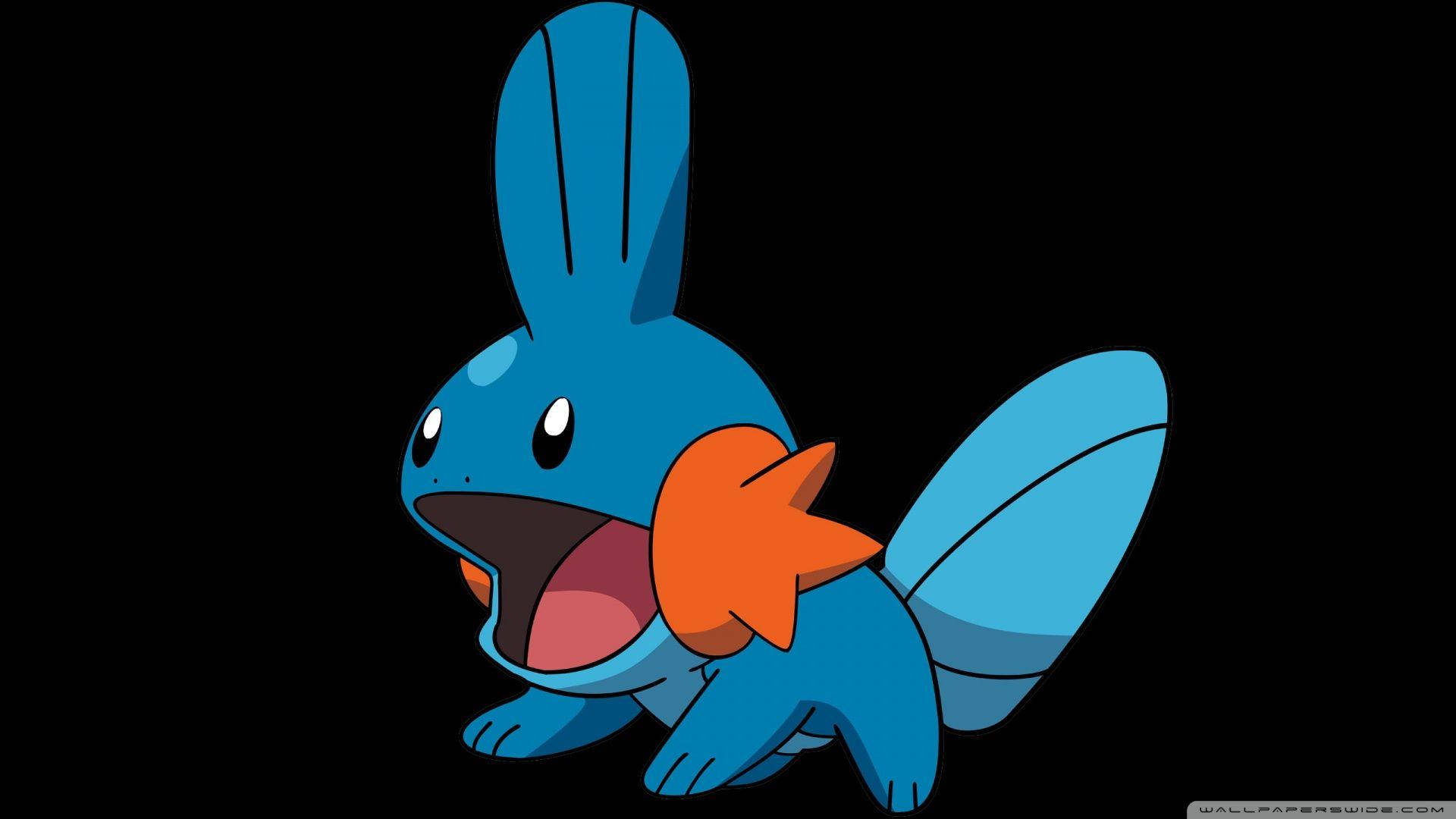 Adorable Mudkip en el Mundo Pokémon Fondos de pantalla