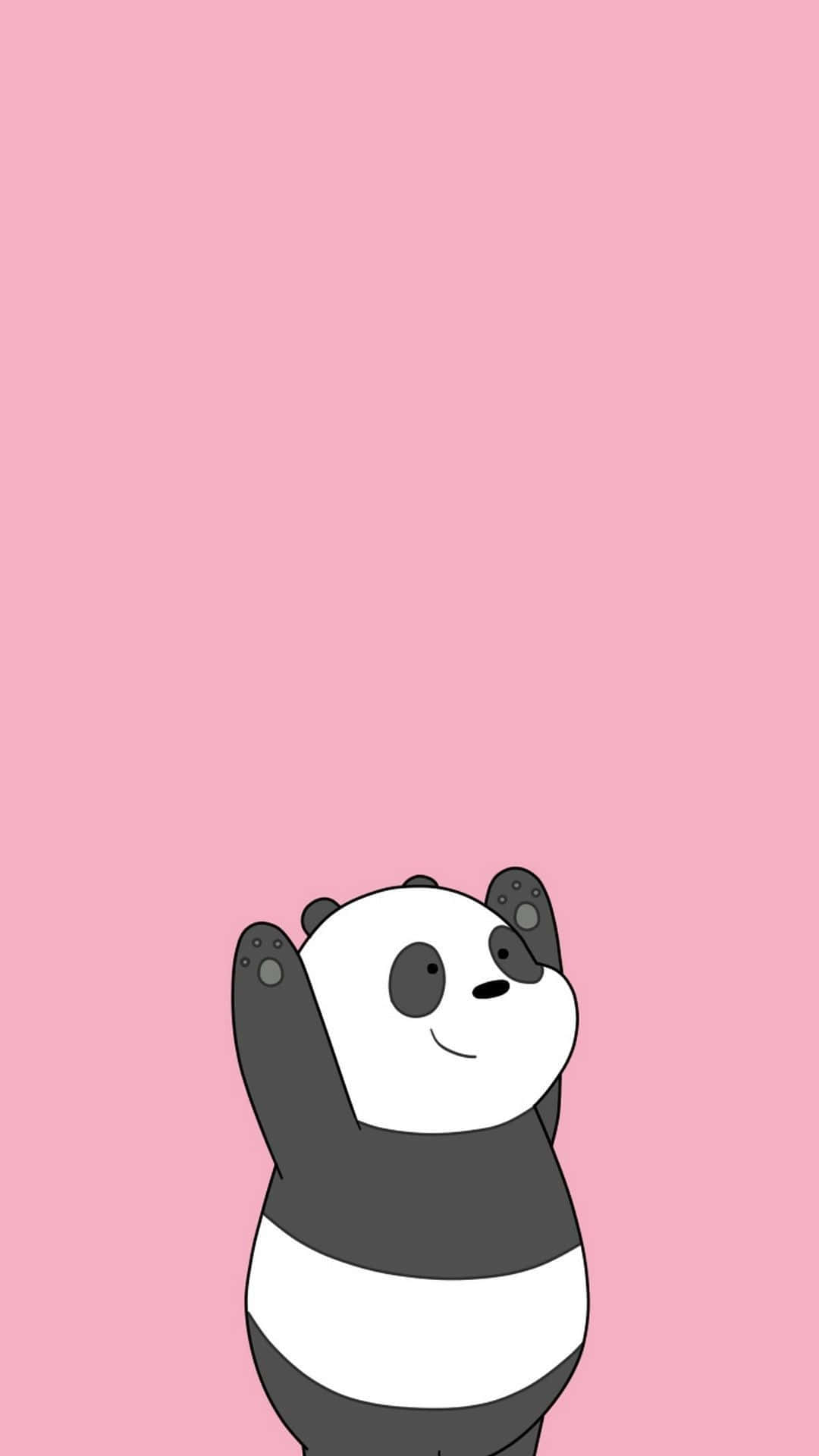 Adorables Animales de Dibujos Animados sobre un Fondo Colorido Fondos de pantalla
