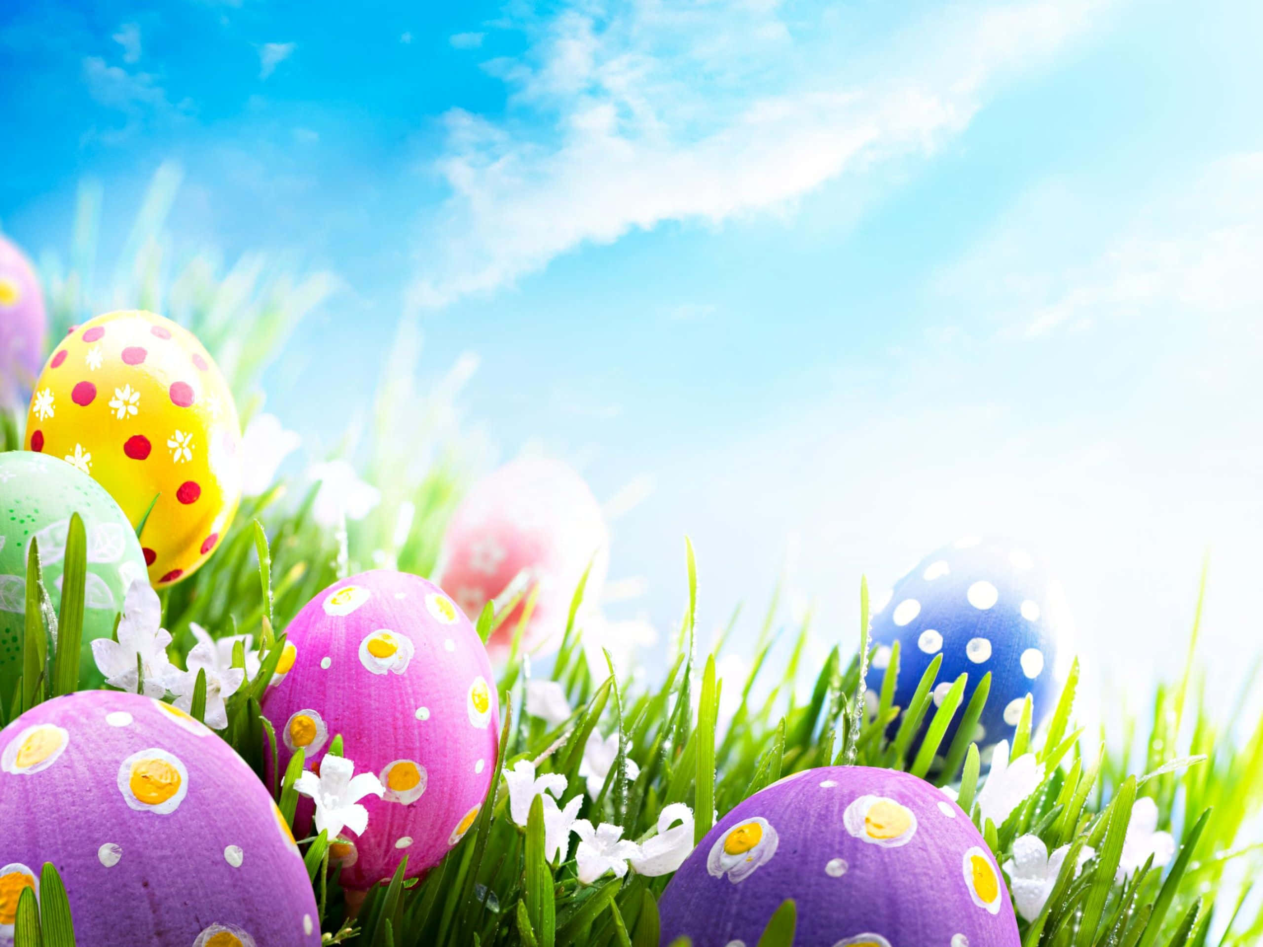 Adorables Conejitos de Pascua Celebrando la Primavera Fondos de pantalla