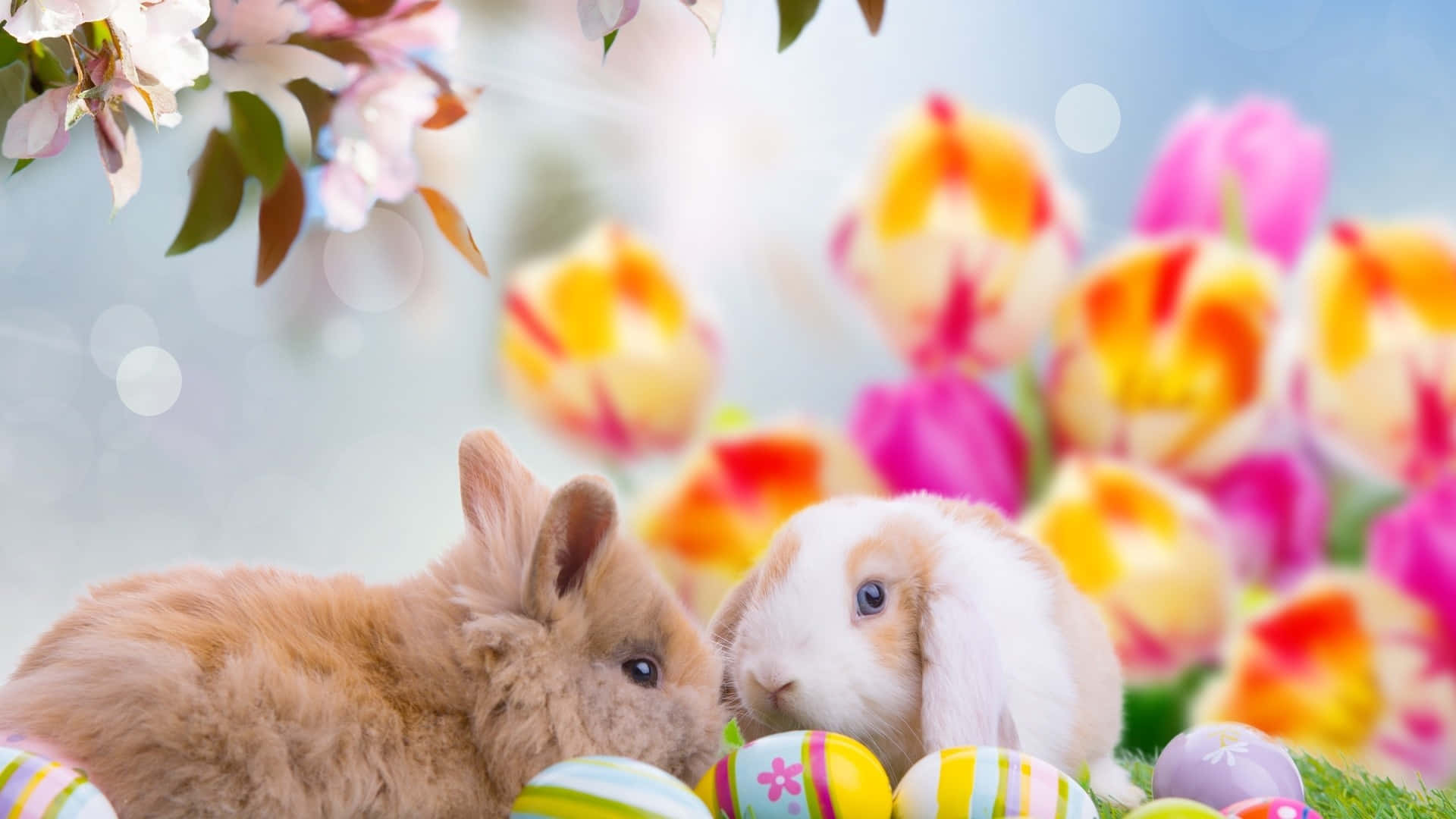 Adorables conejitos de Pascua y huevos coloridos sobre un vibrante fondo primaveral Fondos de pantalla