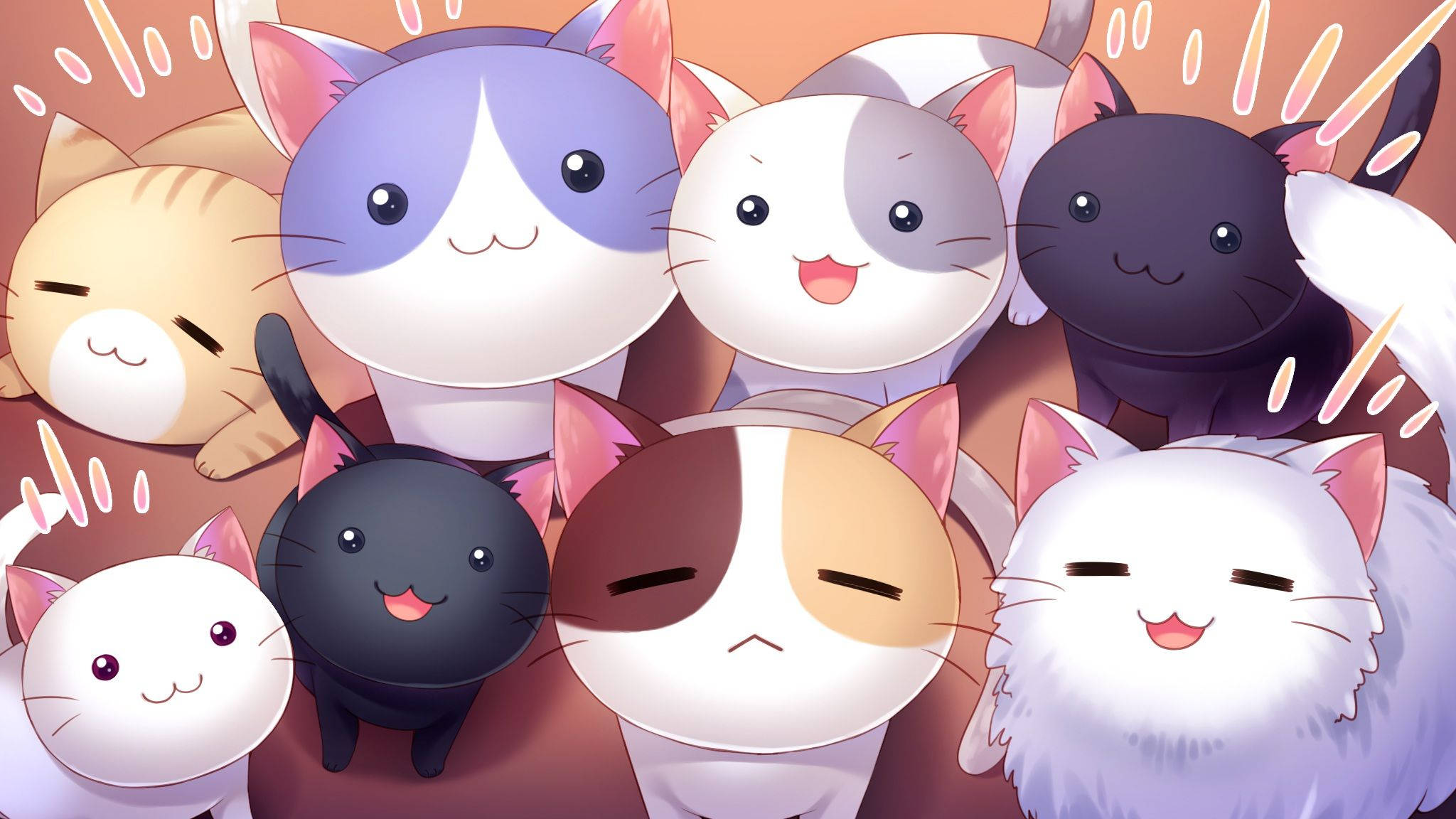 Adorables Gatitos Mirando Hacia Arriba Kawaii iPad Fondos de pantalla
