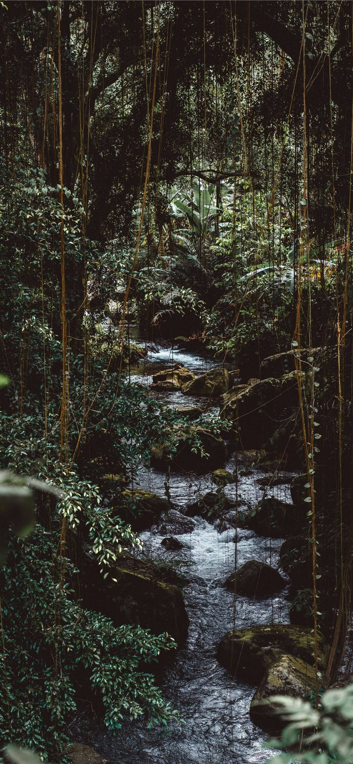Agua de manantial natural en bosque rocoso para iPhone Fondos de pantalla