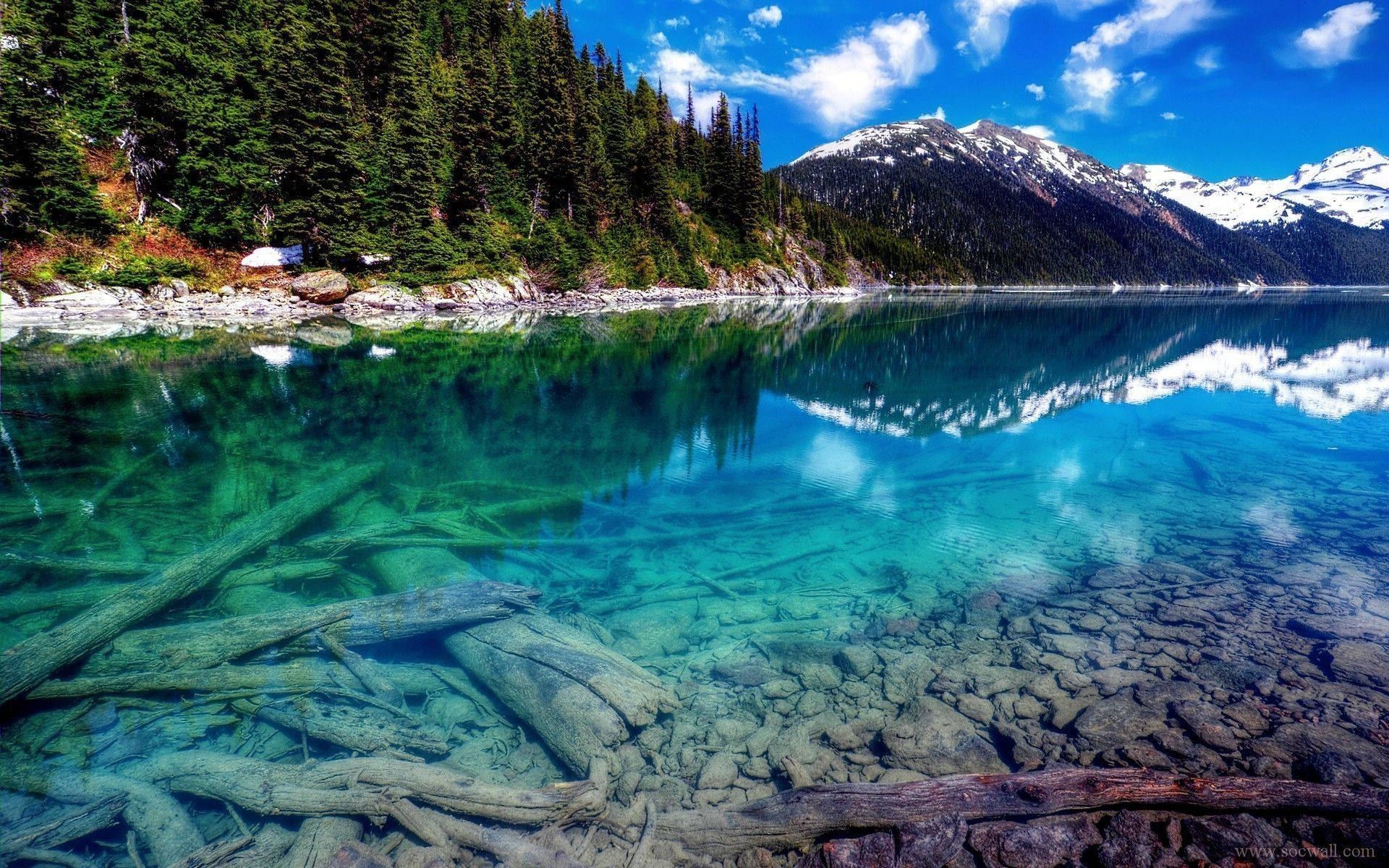 Aguas Claras de la Naturaleza en 4K Fondos de pantalla