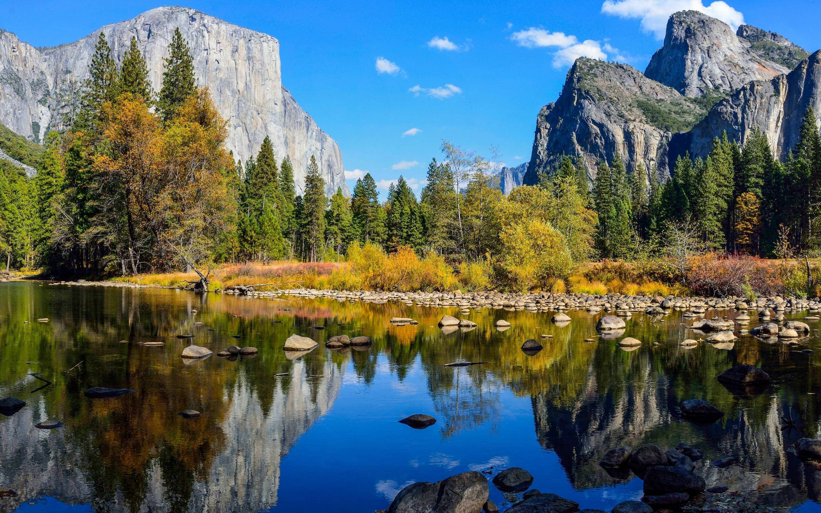 Aguas Someras de la Naturaleza en 4K Fondos de pantalla