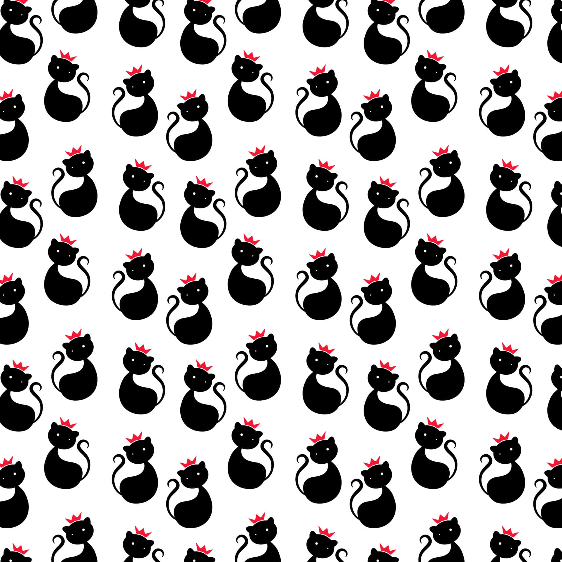 Al acecho - un gato negro buscando a su presa Fondos de pantalla