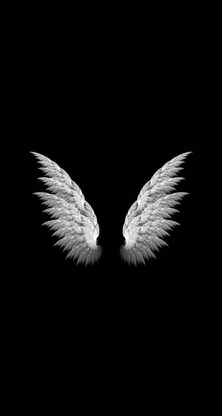 Alas Blancas Sobre Fondo Negro Genial Fondos de pantalla