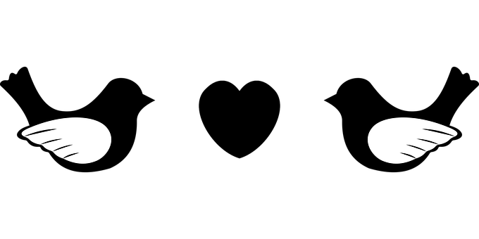 Alas de Ángel Fondo Negro Fondos de pantalla