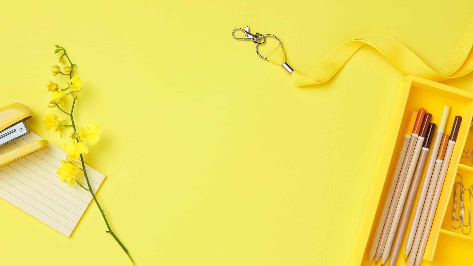 Alegra tu día con este fondo estético amarillo Fondos de pantalla