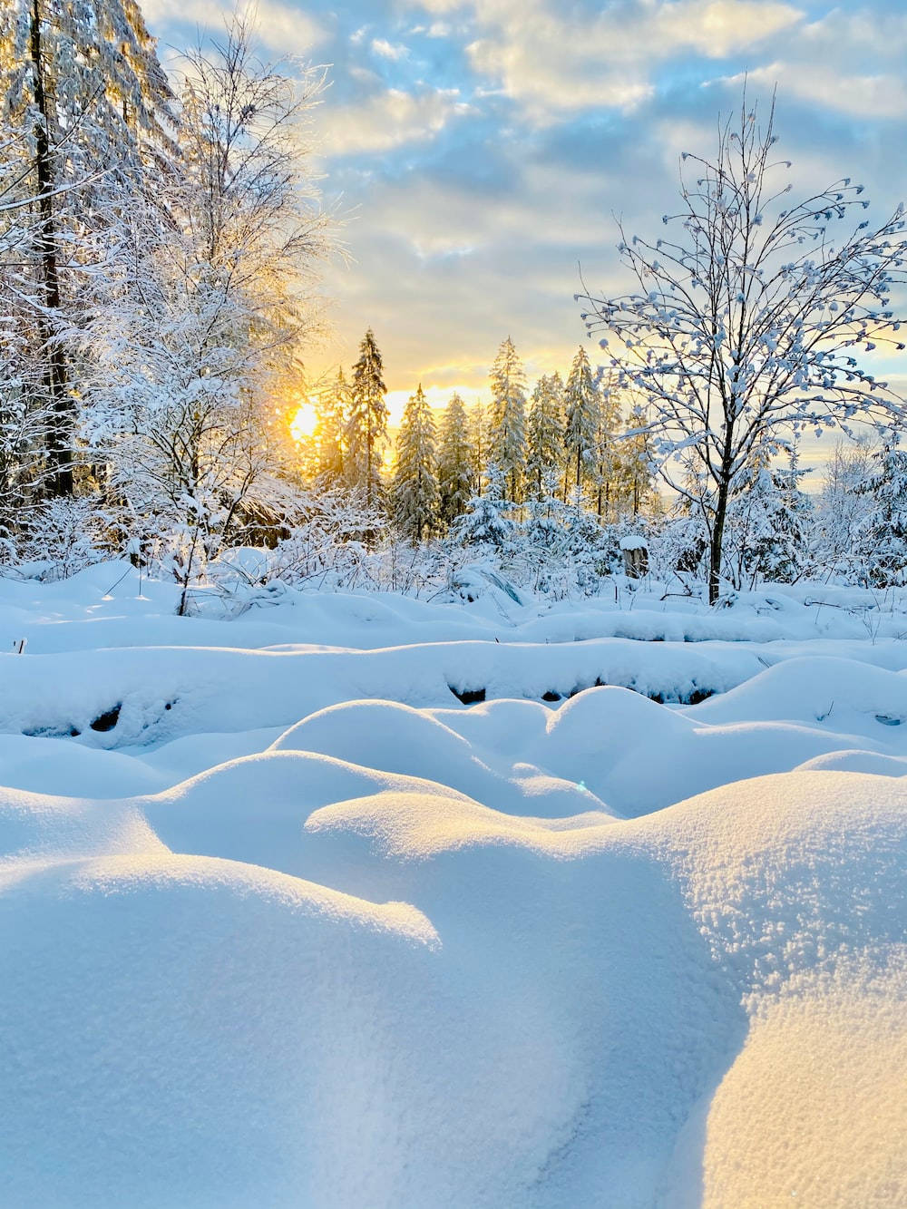 Amanecer acogedor en paisaje invernal Fondos de pantalla