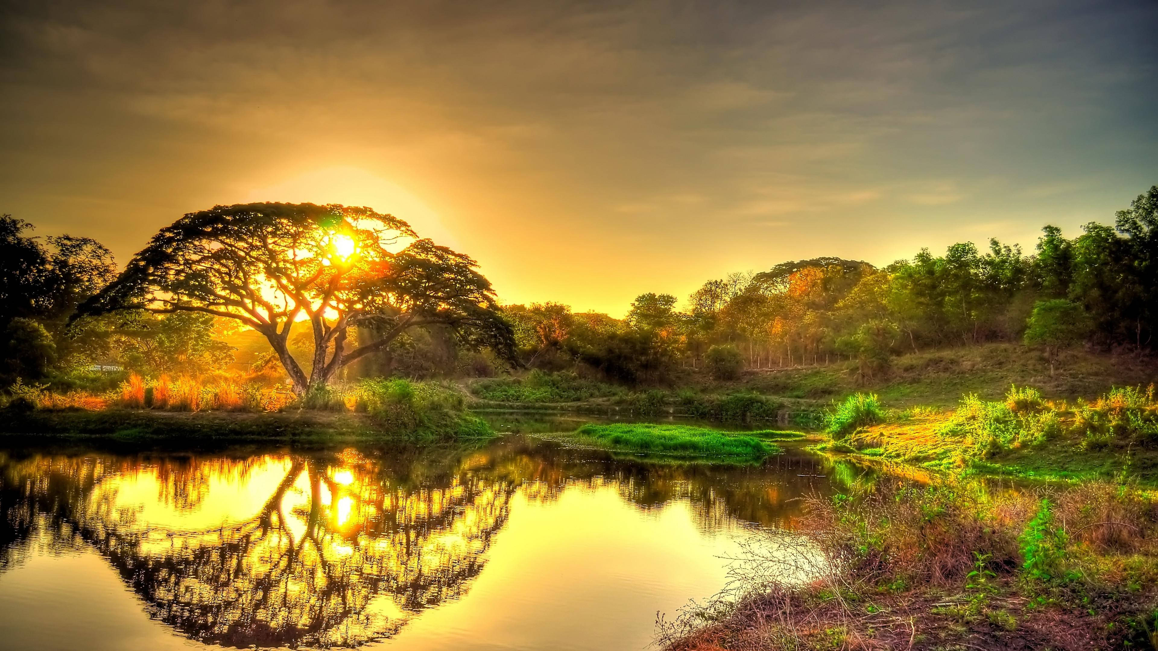 Amanecer Dorado 4K Ultra HD 2160p Fondos de pantalla