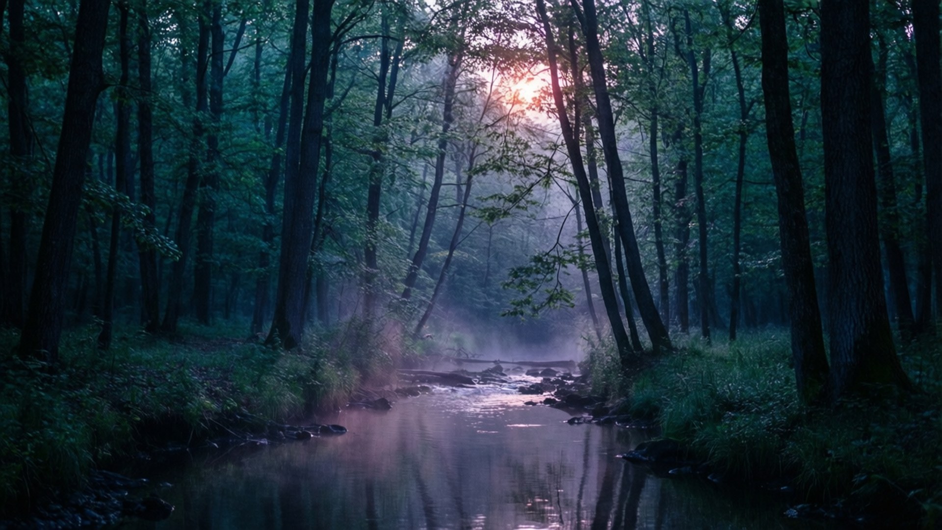 Amanecer en el Bosque Oscuro Fondos de pantalla
