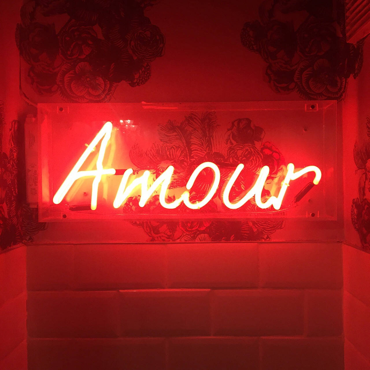Amor Neón Rojo Estético Fondos de pantalla