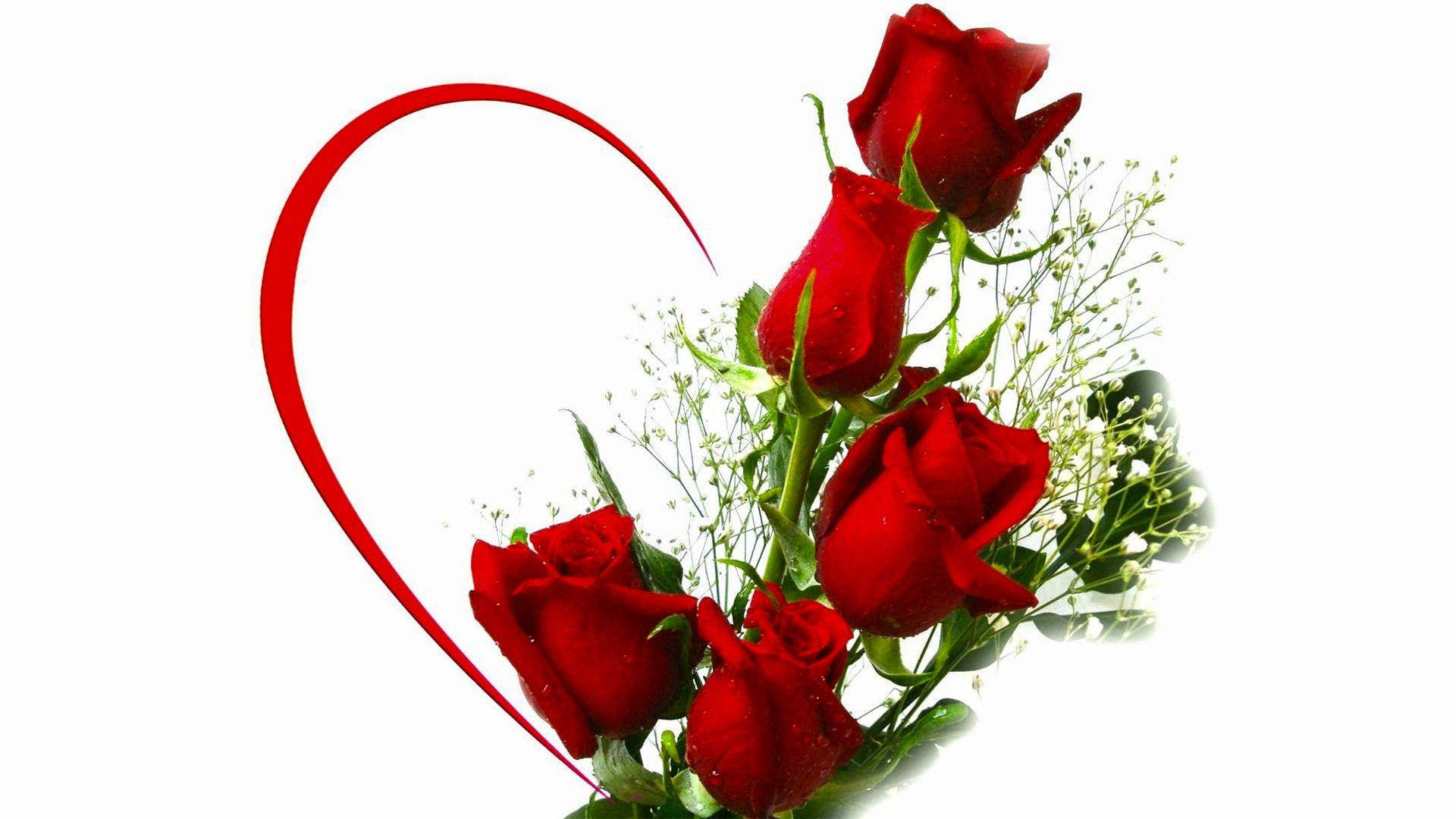Amor Rosa Medio Corazón Fondos de pantalla