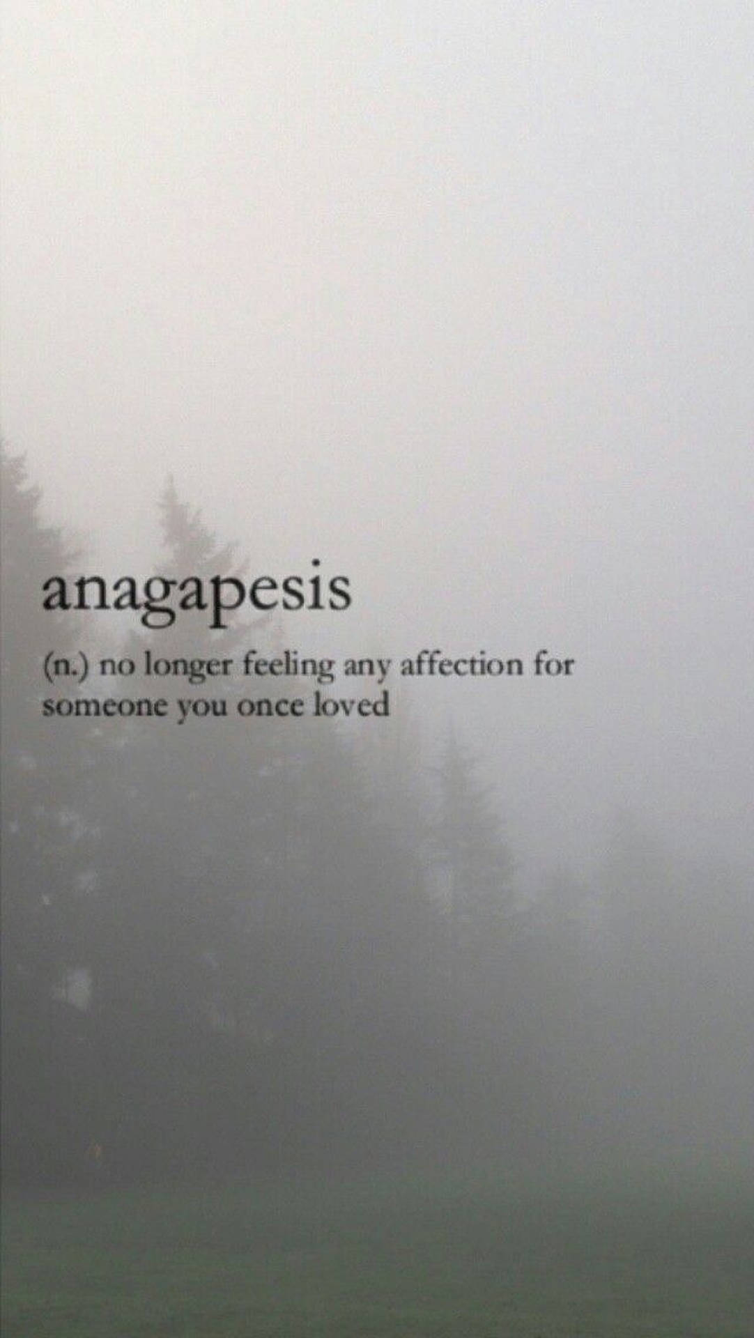 Fondo de pantalla estético de la palabra anagapesis