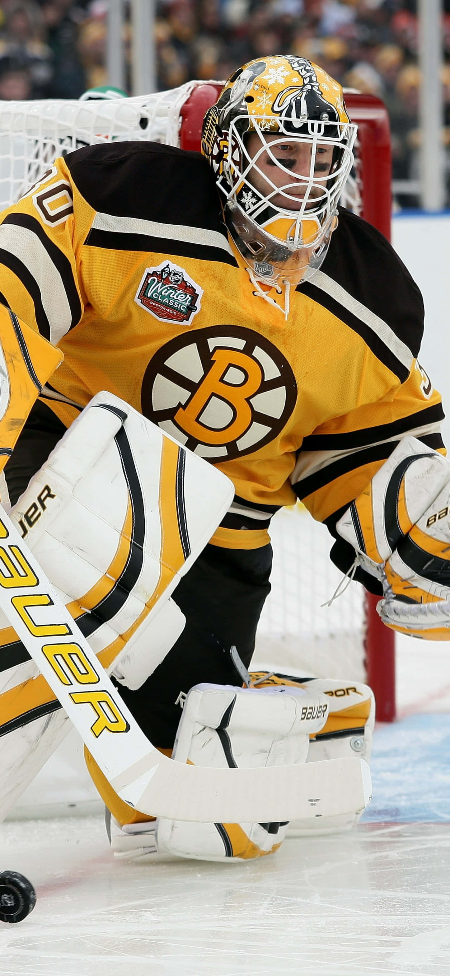 Anima a los Boston Bruins desde Casa Fondos de pantalla