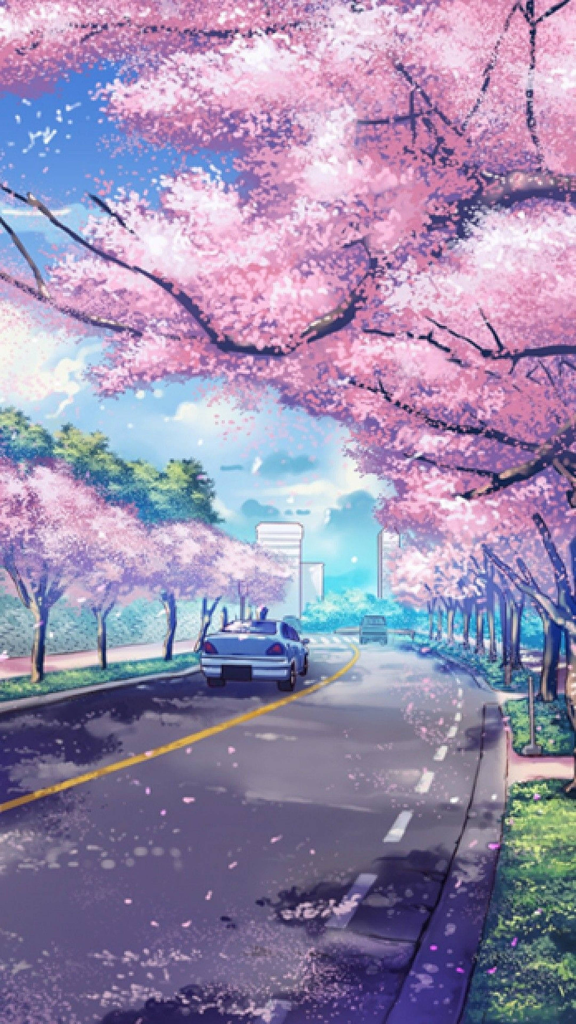 Anime Cerezos en Flor iPhone Fondos de pantalla