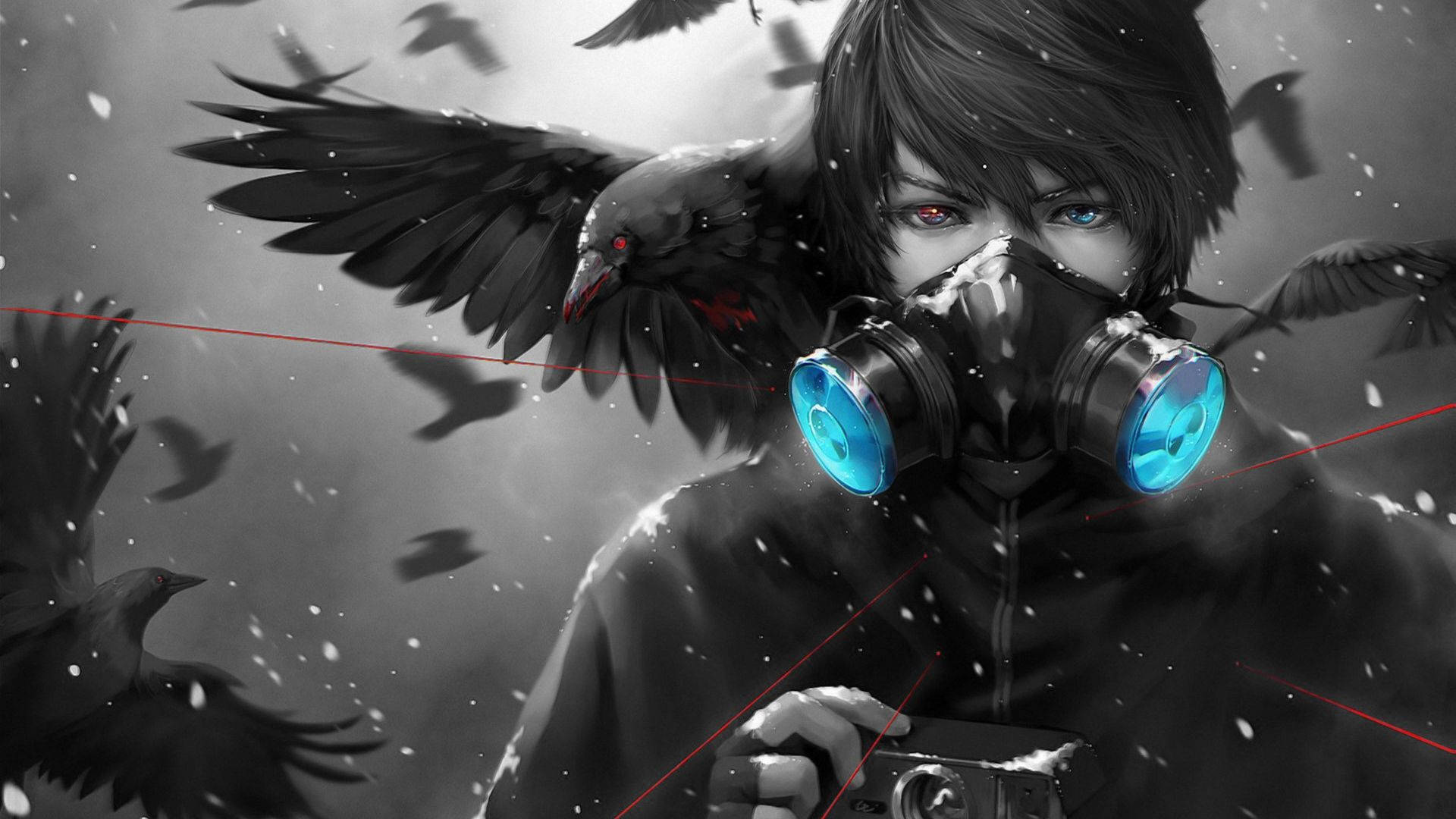Anime Pfp Oscuro de Cuervo y Chico Fondos de pantalla