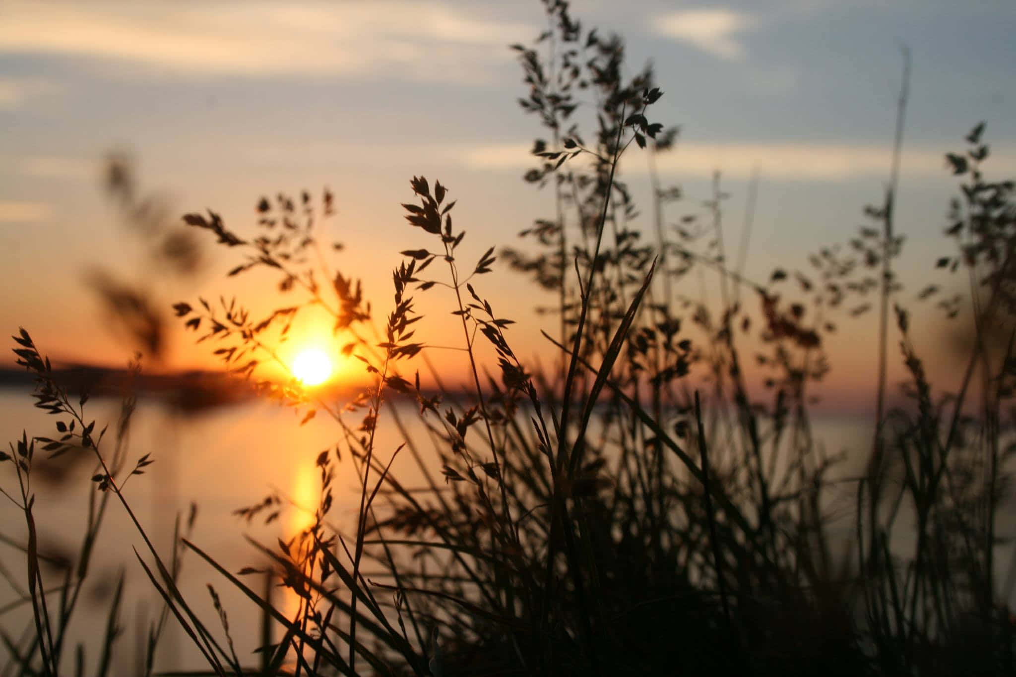 Aprovecha el Día: Un Hermoso Atardecer Fondos de pantalla