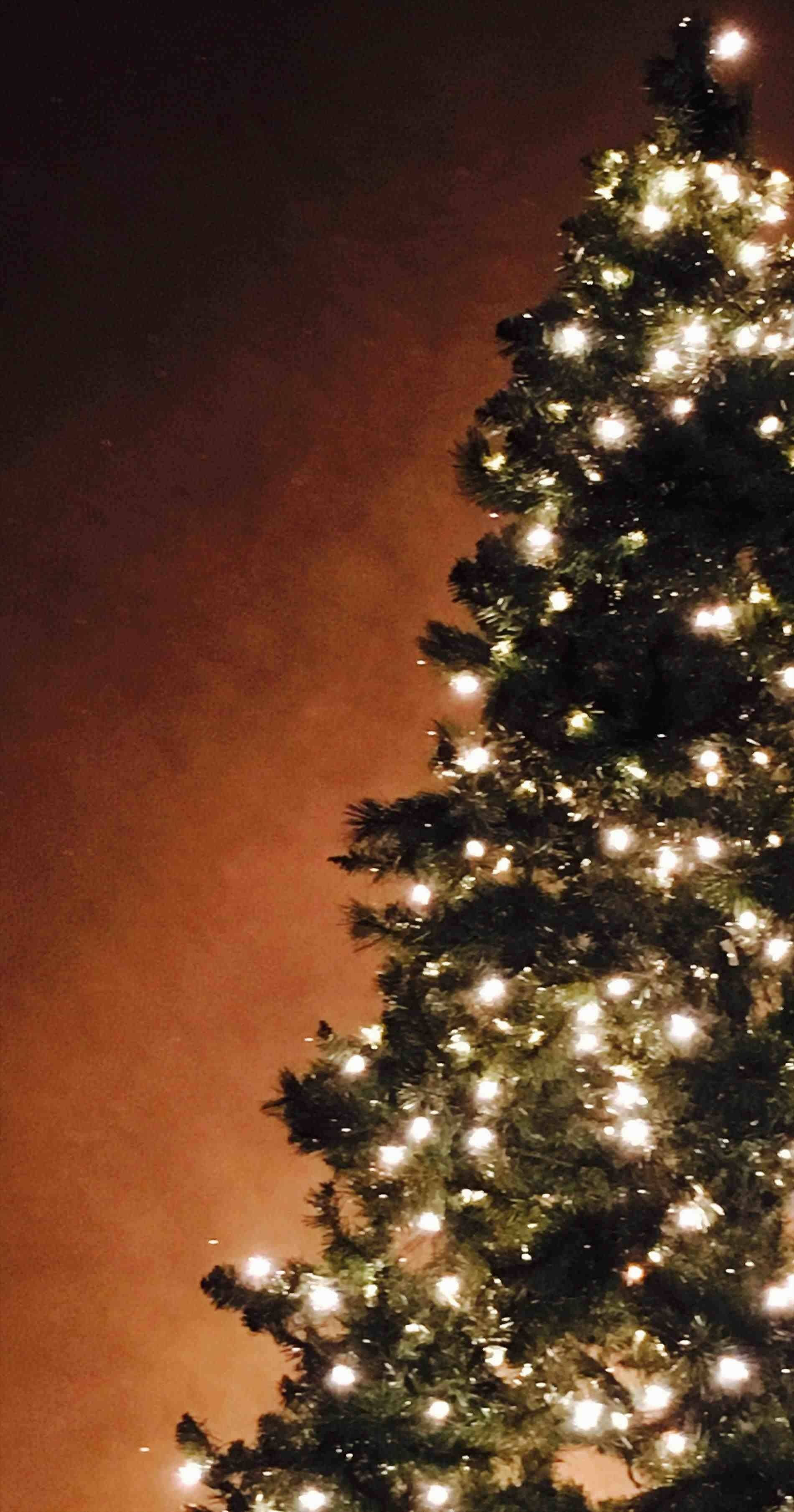 Árbol de Navidad de Pino Luminoso para iPhone Fondos de pantalla