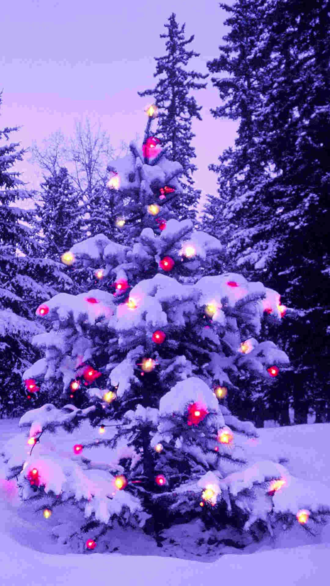 Árbol de Navidad Púrpura para iPhone Fondos de pantalla