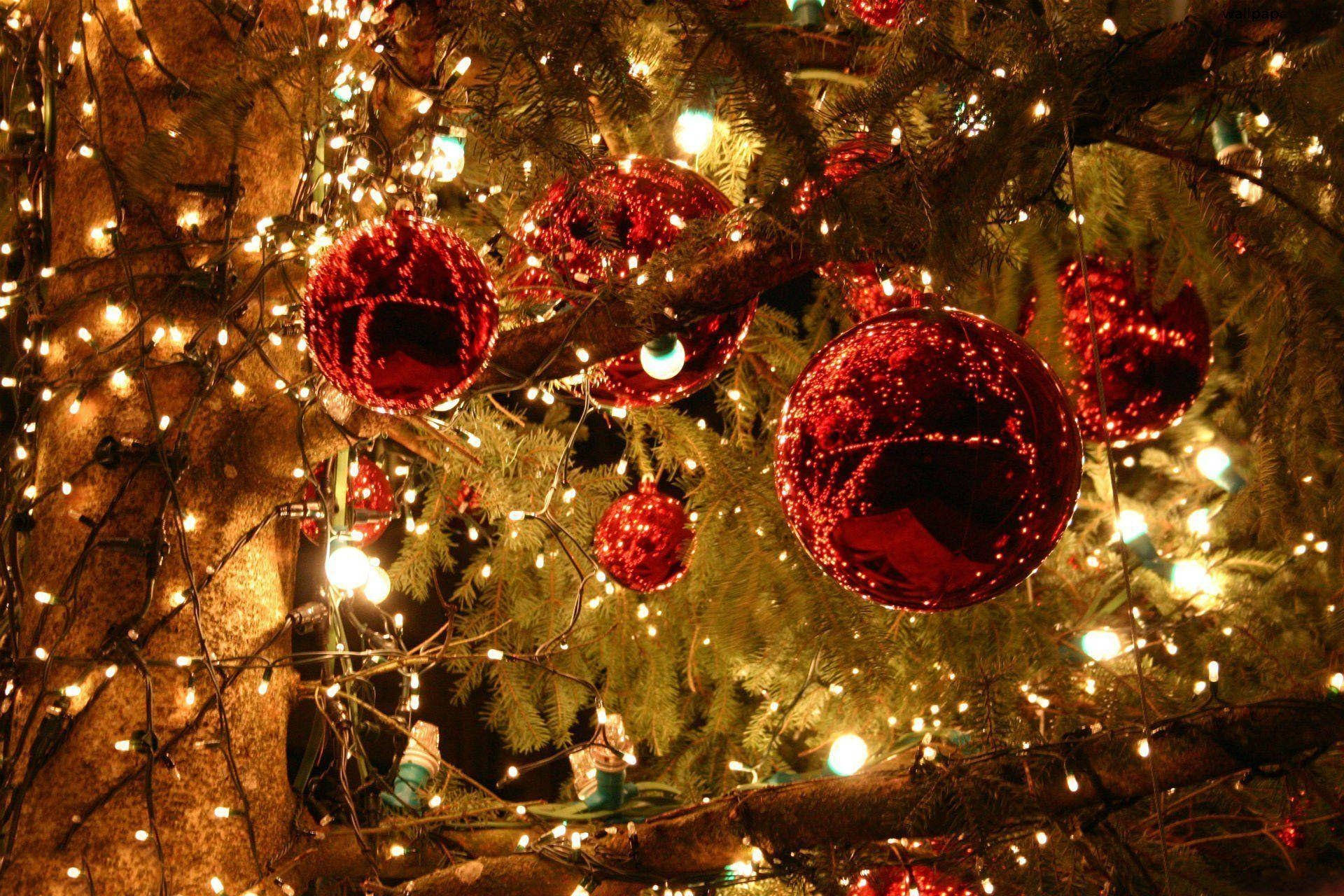 Árbol de Navidad estético con luces festivas Fondos de pantalla
