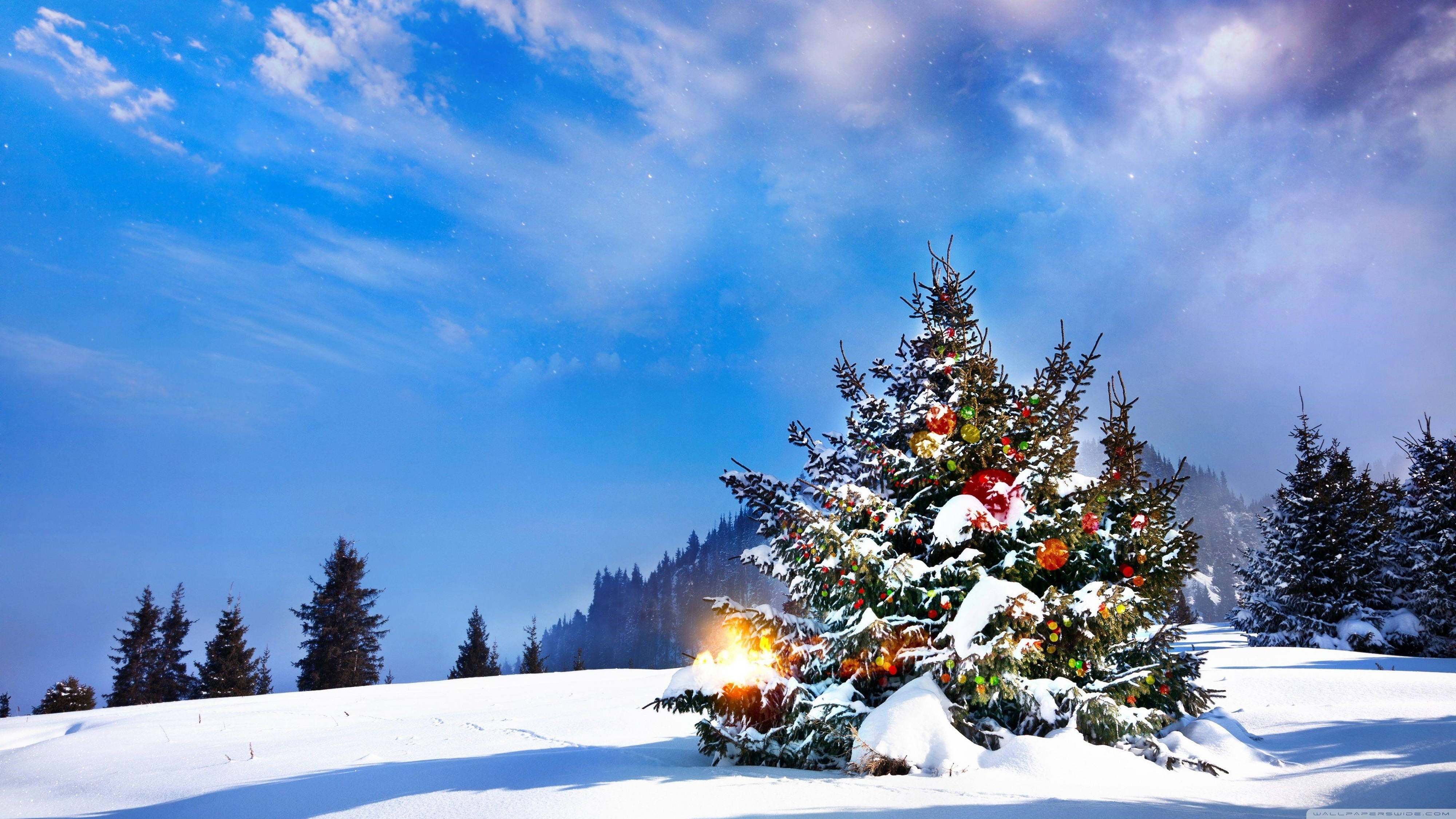 Árbol de Navidad Cautivador en Nieve 4K Ultra HD Fondos de pantalla