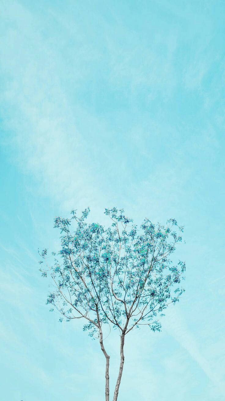 Árbol estético azul simple Fondos de pantalla