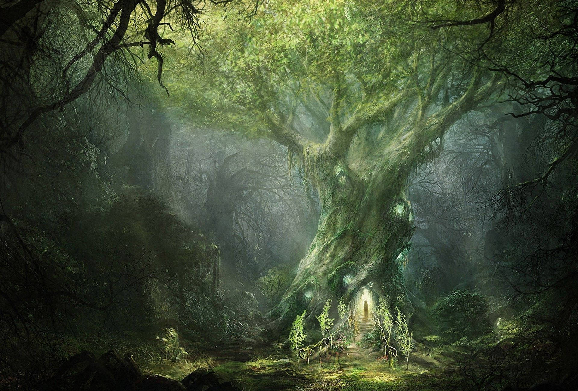 Árbol Gigante Antiguo del Bosque Encantado Fondos de pantalla