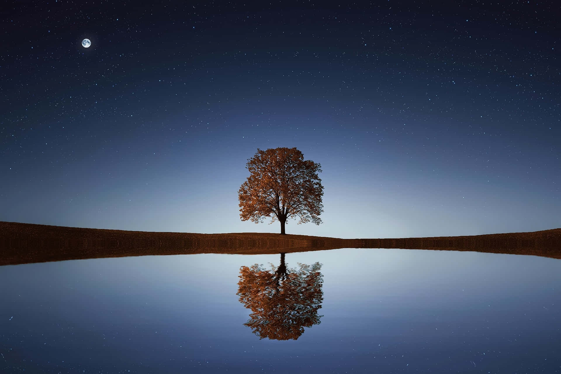 Árbol, Lago y Luna en la Noche Fondos de pantalla